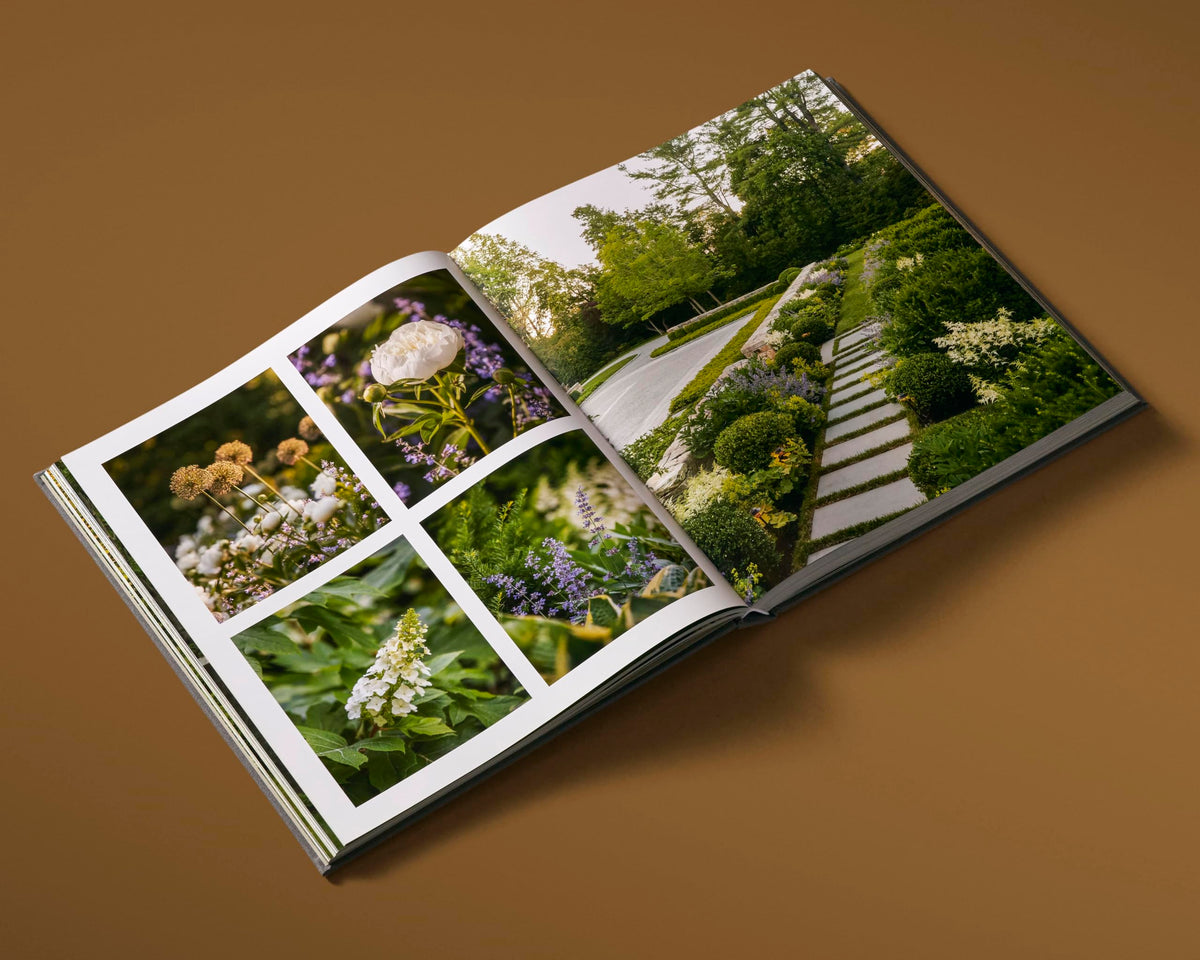 Dan Gordon Landscape Architects Reflections of Place - Hardcover | 288 Pages | English 3