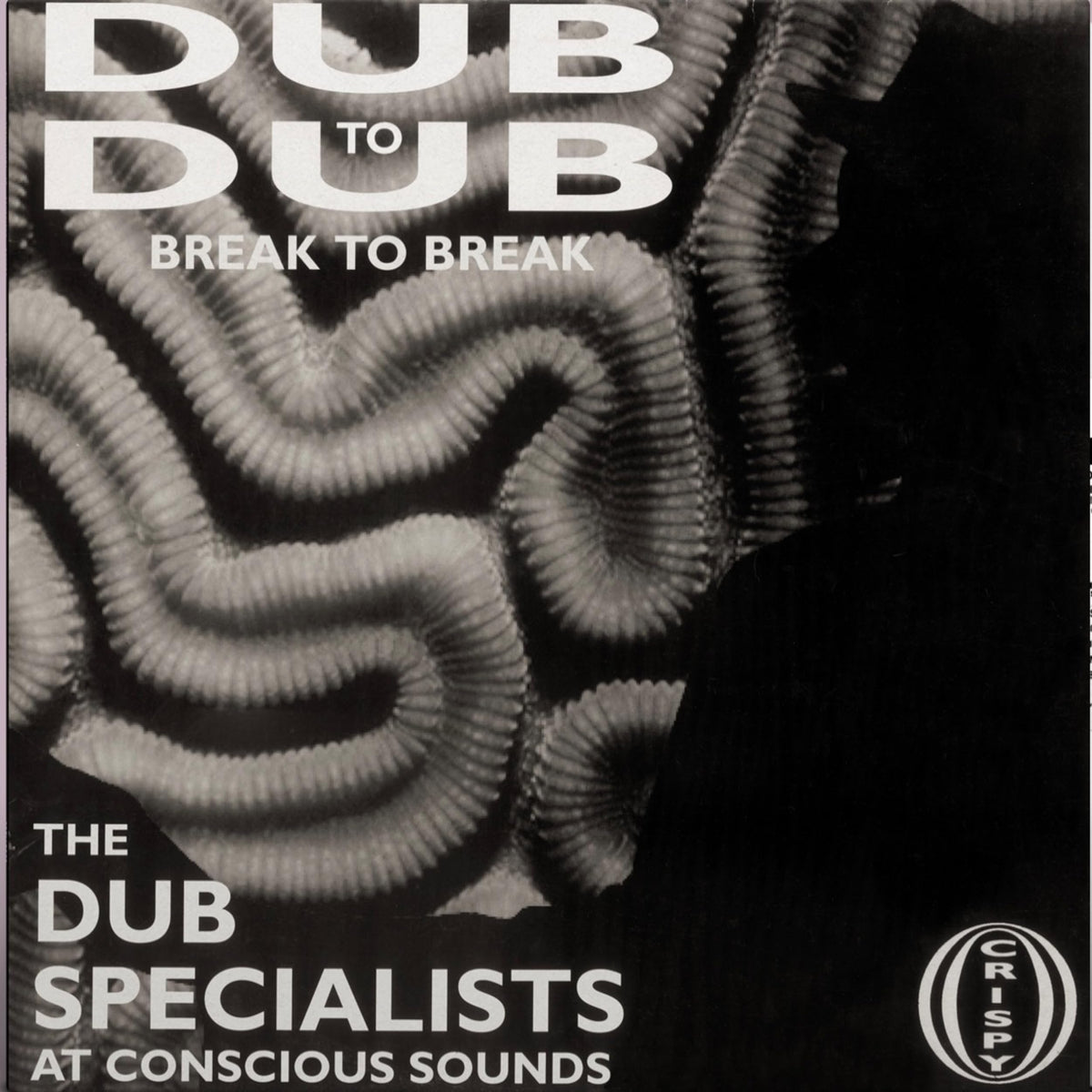 Dub Specialists - Dub to Dub Break to Break [Vinyl]