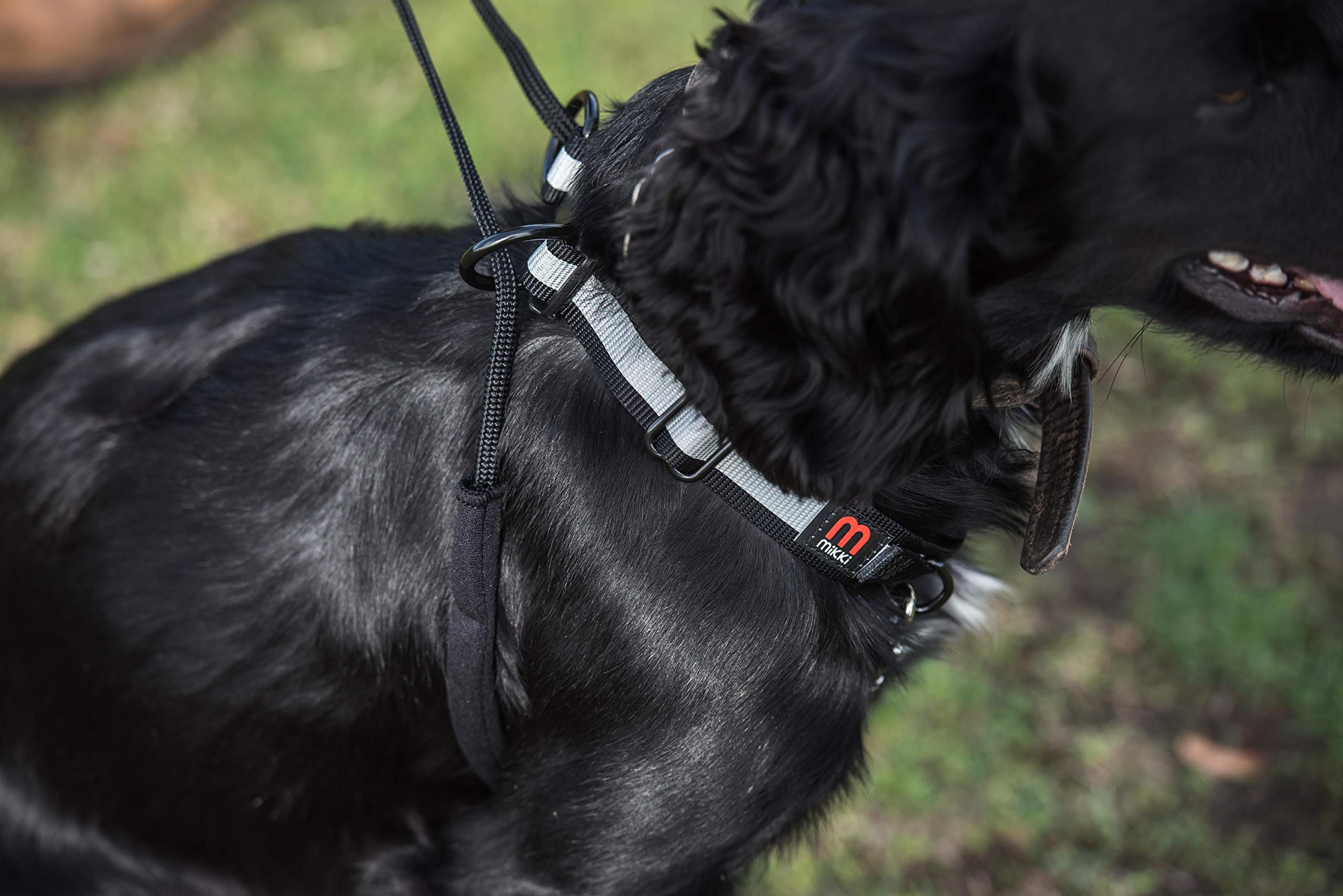 Mikki Dog Anti-Pull Vest Harness - Gentle Control | Neoprene Tubing | Medium Size 7