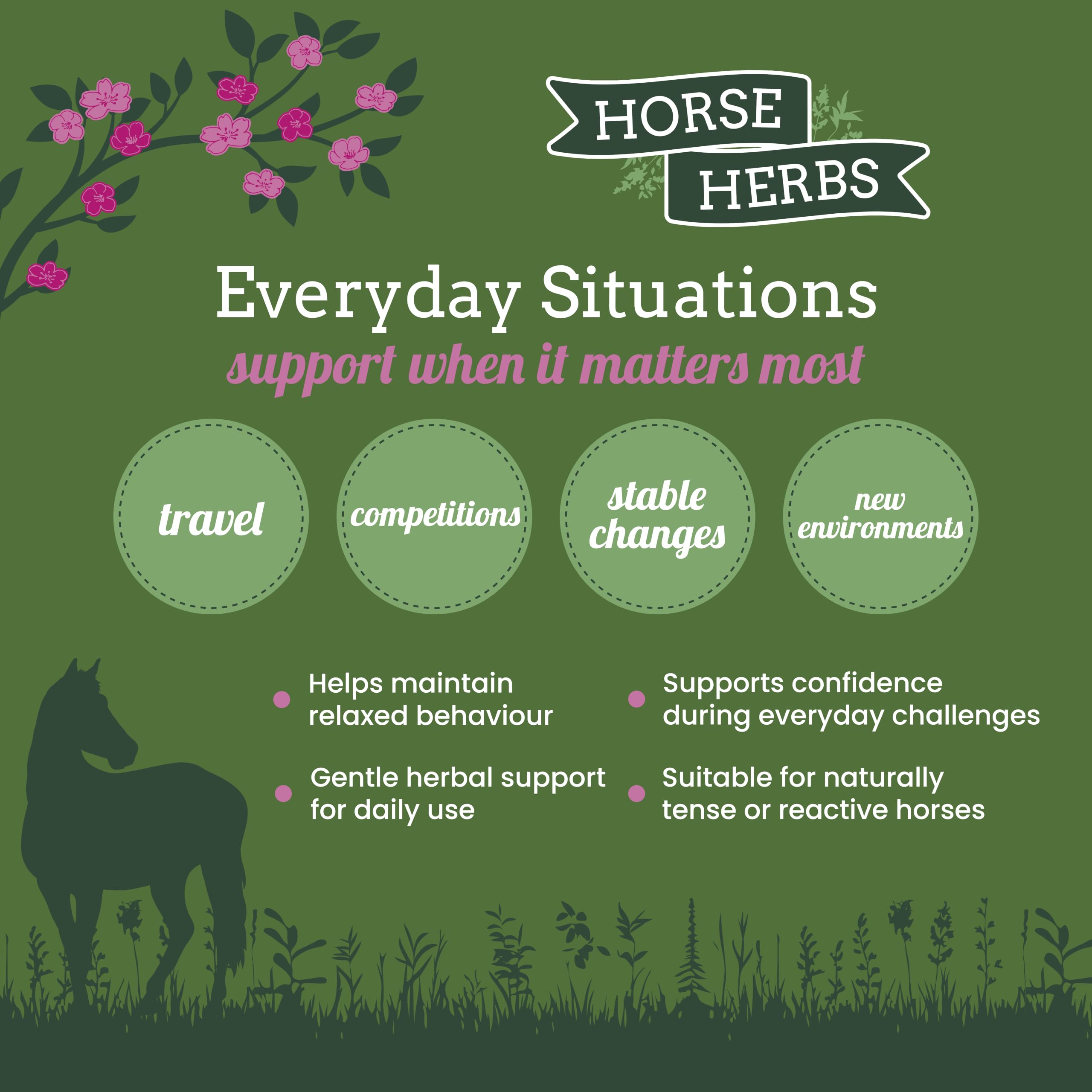 Horse Herbs Calming Mix - 1kg Natural Herbal Supplement for Horses 4