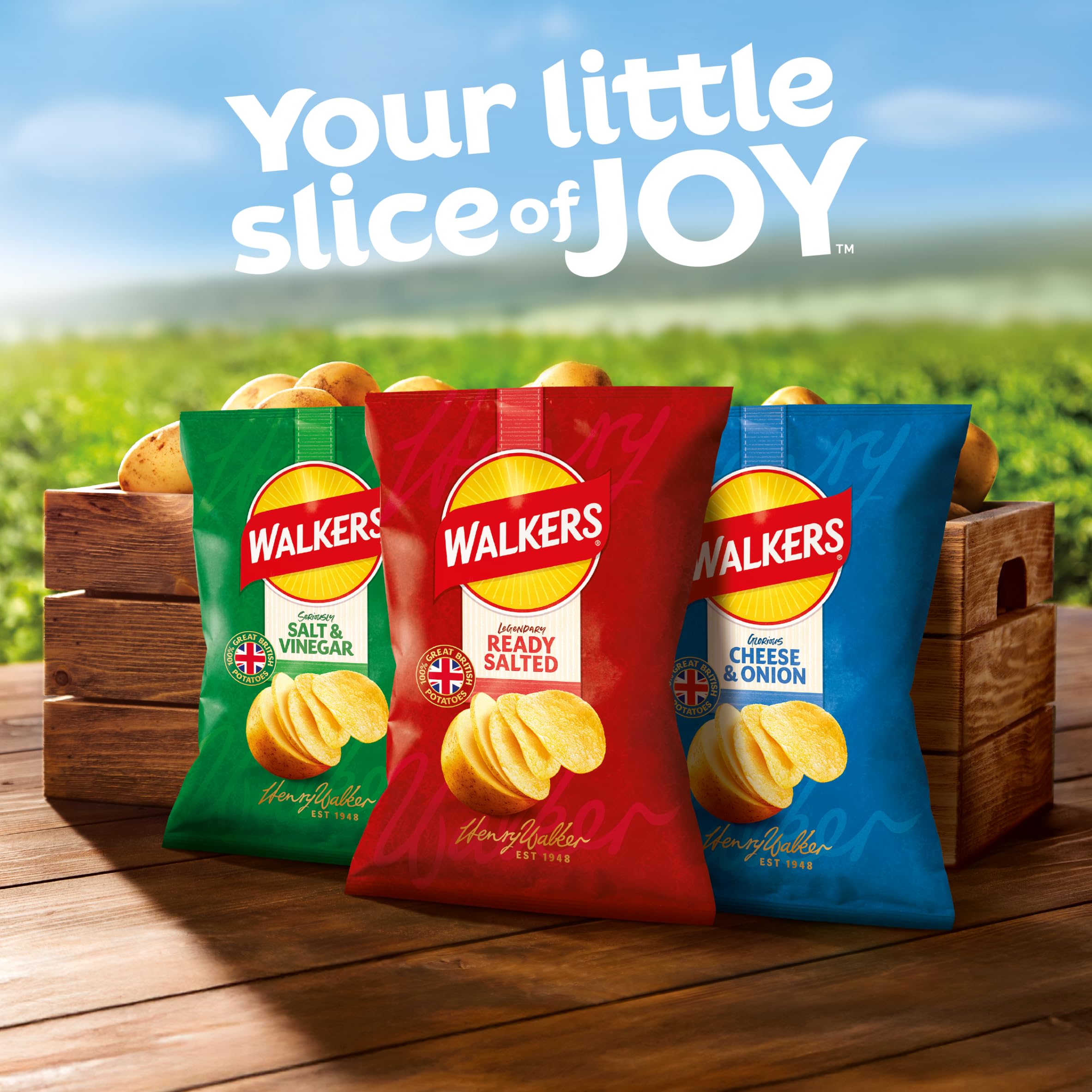 Walkers Ready Salted Crisps - 150g Sharing Bag | Made with 100% Great British Potatoes 2