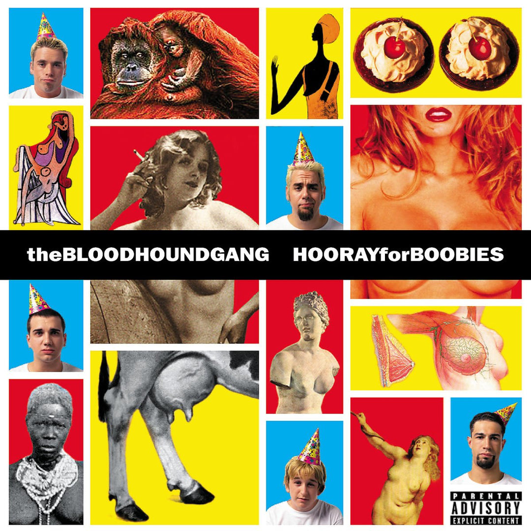 Hooray For Boobies 25th Anniversary (2LP)