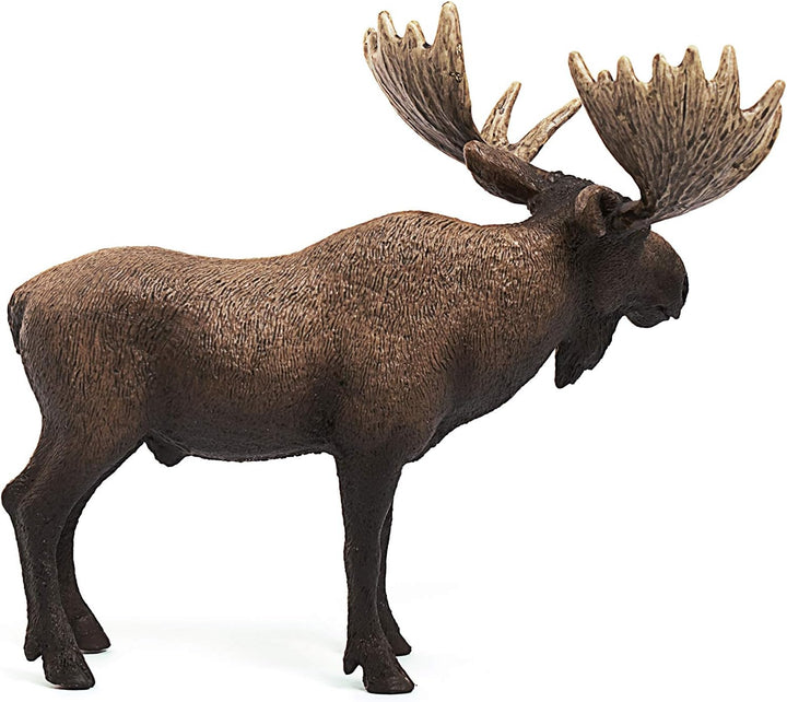 Schleich 14781 Moose Bull Figurine - Hand-Painted Wildlife Animal Toy for Kids, 13 x 7 x 11 cm