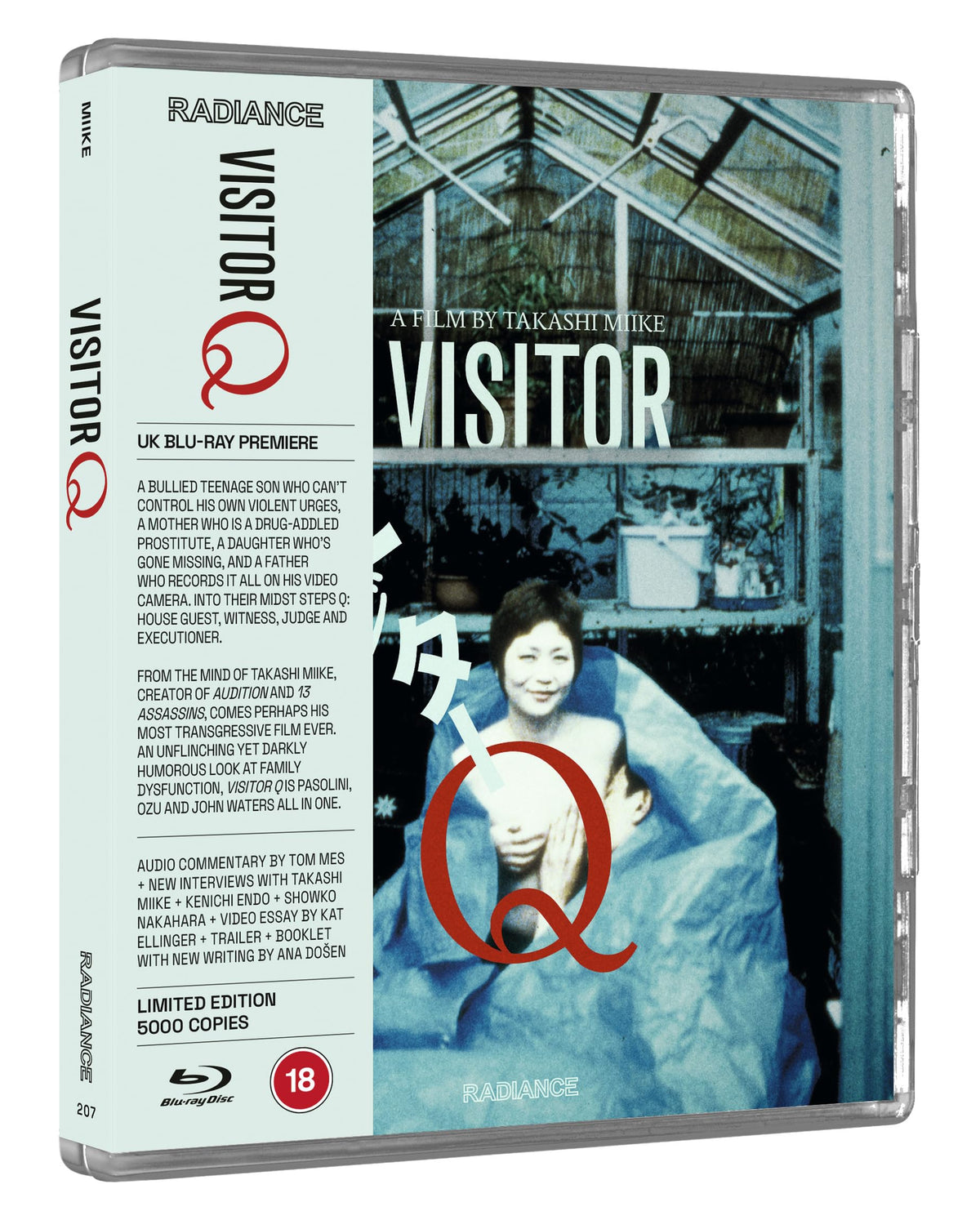 Visitor Q [Limited Edition Blu-ray] 3