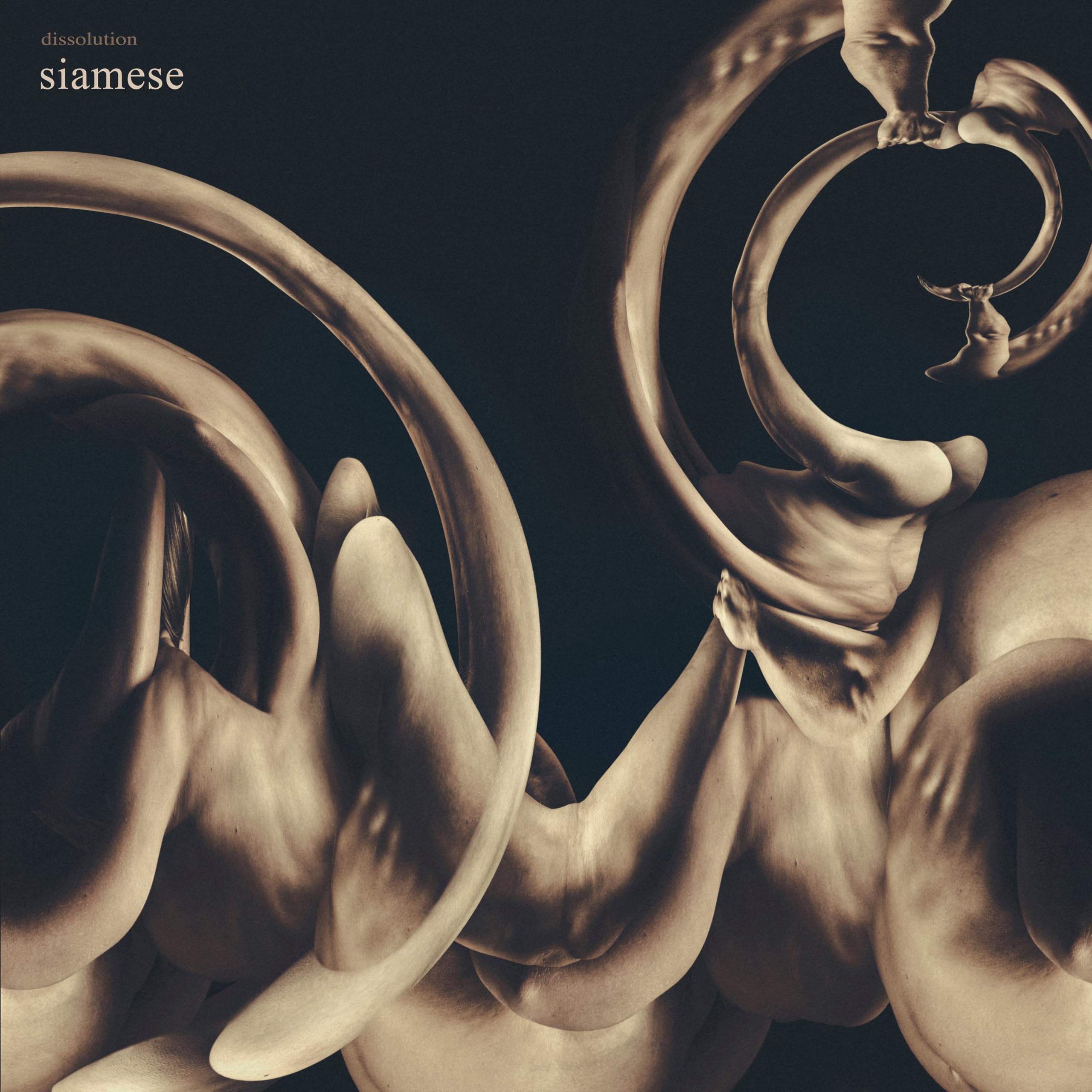 Siamese - dissolution [Audio CD] 1