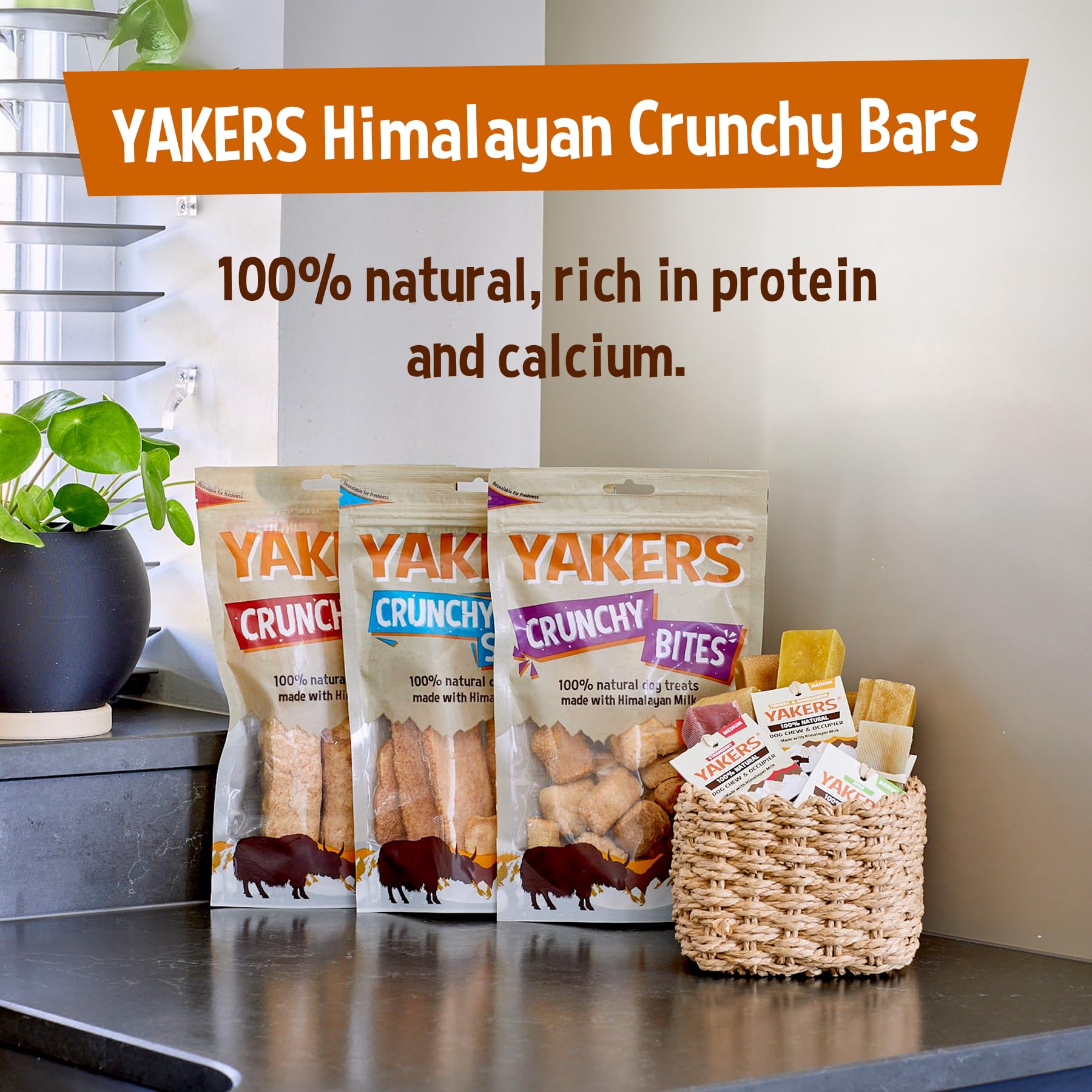 Yakers Apple Dog Chew for Large Breeds - Extra Large Size | Promotes Dental Health | High Protein & Calcium 9
