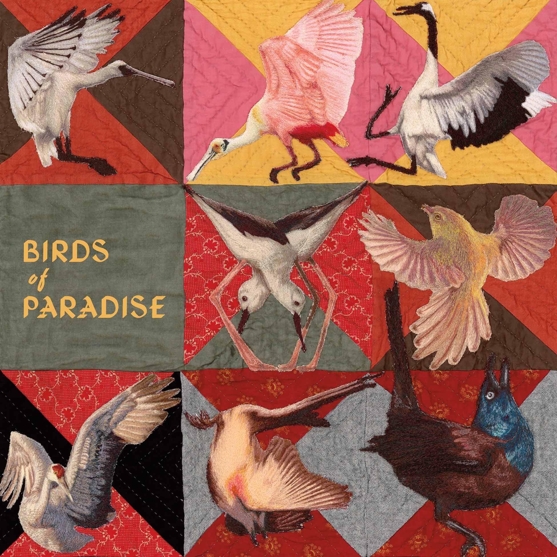 Thomas Dollbaum - Birds Of Paradise [Vinyl]