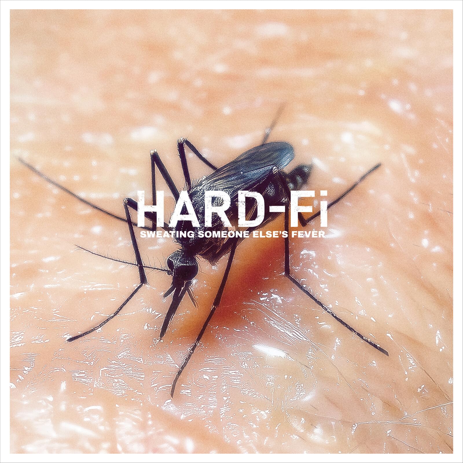 Hard-Fi - Sweating Someone Else's Fever [Audio CD] 1