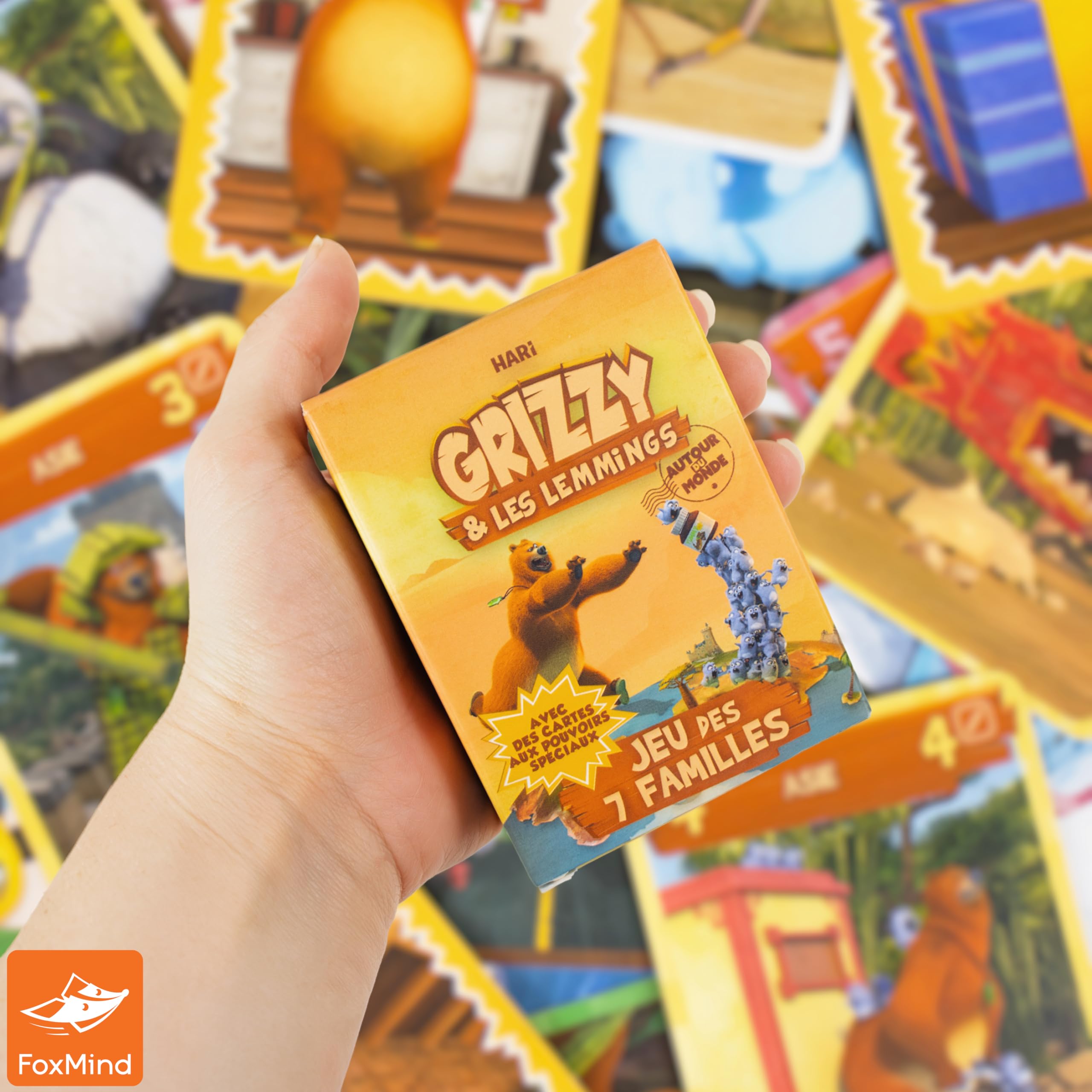 Débâcle Jeux Grizzy & the Lemmings Happy Families Card Game (French) 5
