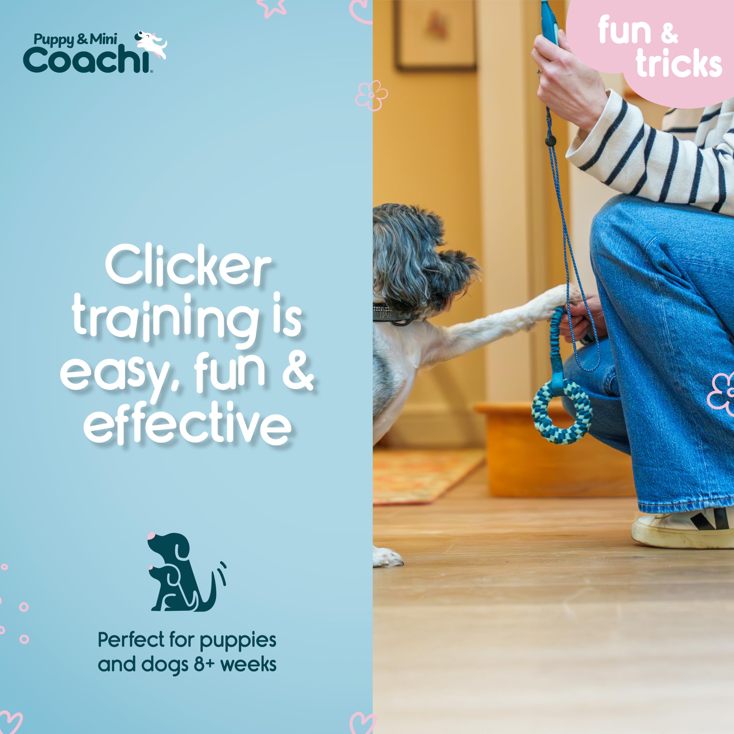 Coachi Puppy & Mini Whizzclick - 2-in-1 Combined Clicker and Whistle for Dog Training | Teal/Mint 3