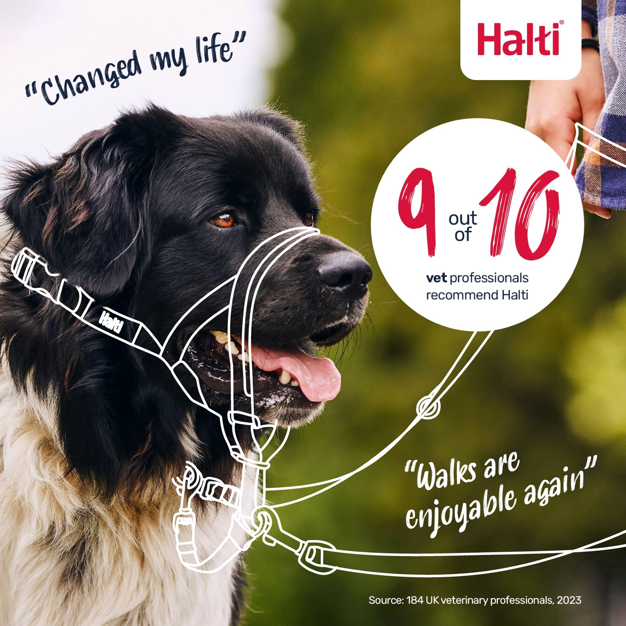 Halti Headcollar - Stops Dog Pulling | Size 2 | Burnt Orange | Reflective 6