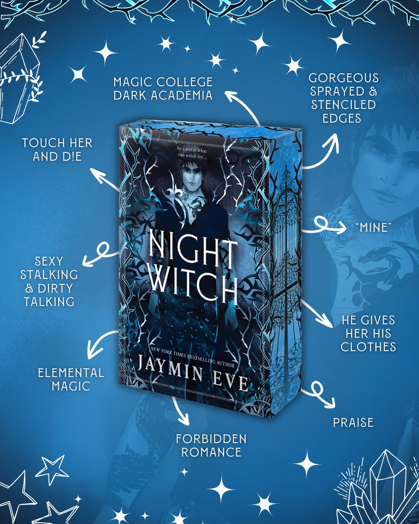 Mira Books Night Witch - Book 2 of Weatherstone College | Forbidden Romantasy Paperback