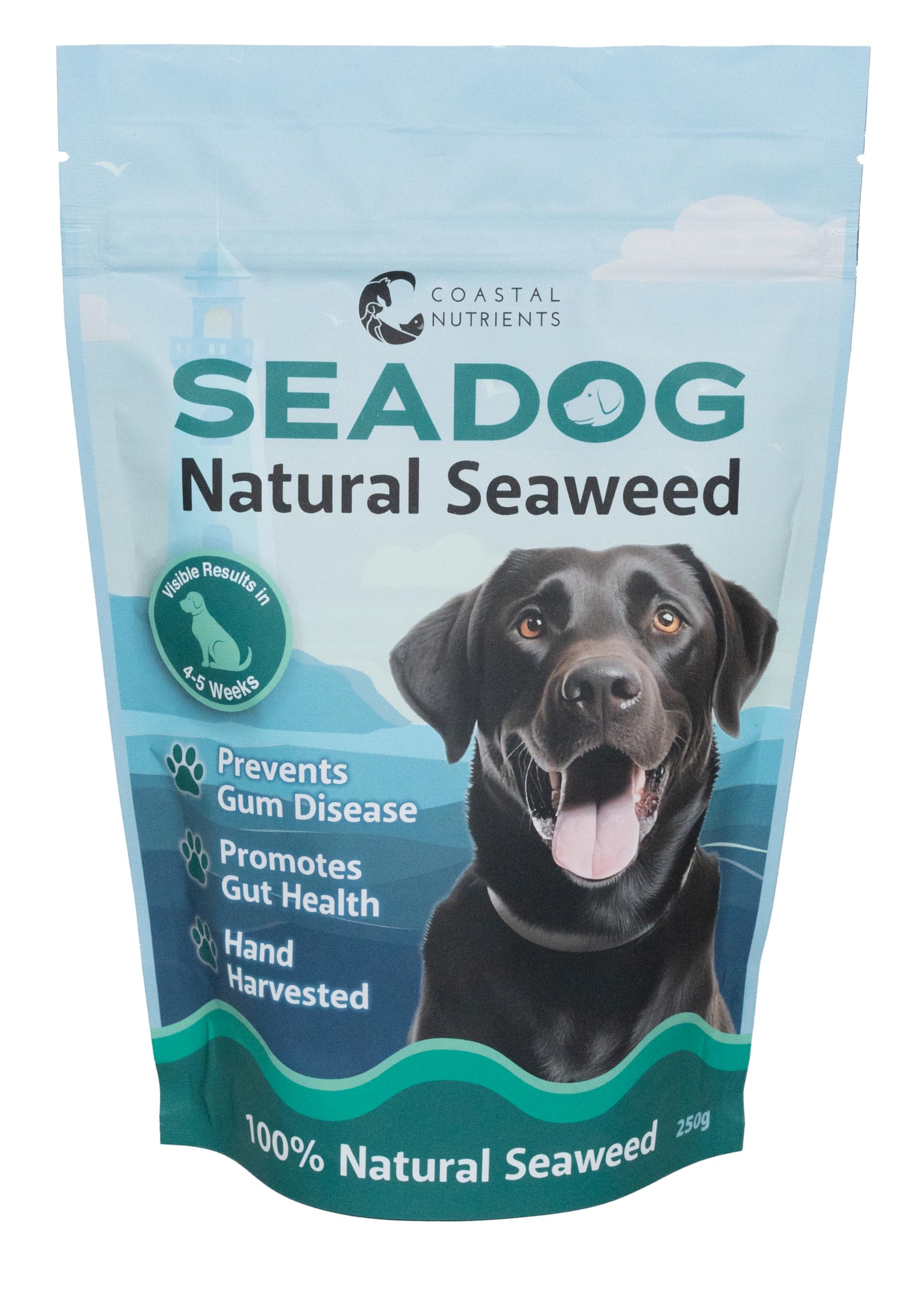 Coastal Nutrients Sea Dog Dental Powder for Dogs - Oral Hygiene & Gut Health | 250 g 1