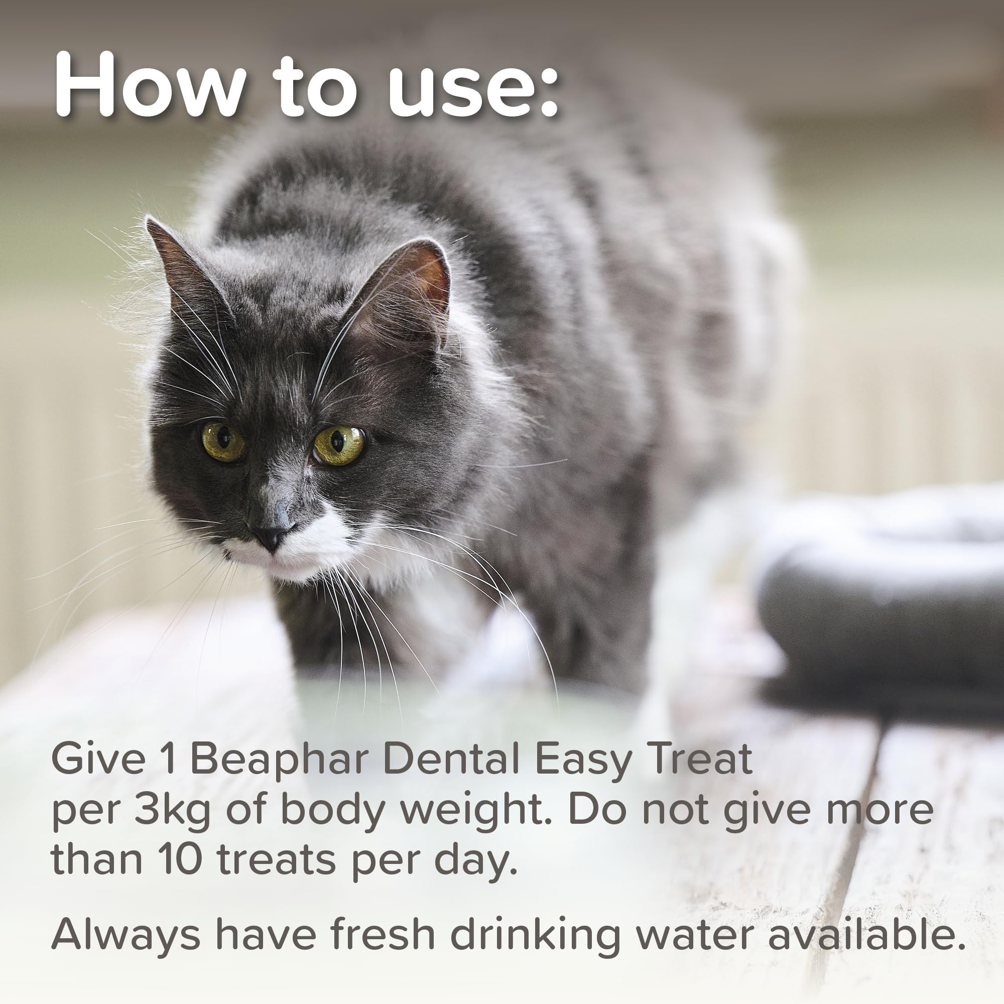 Beaphar Dental Easy Treats for Cats - Cleaner Teeth & Fresher Breath | Chlorophyll Added | All Breeds 5