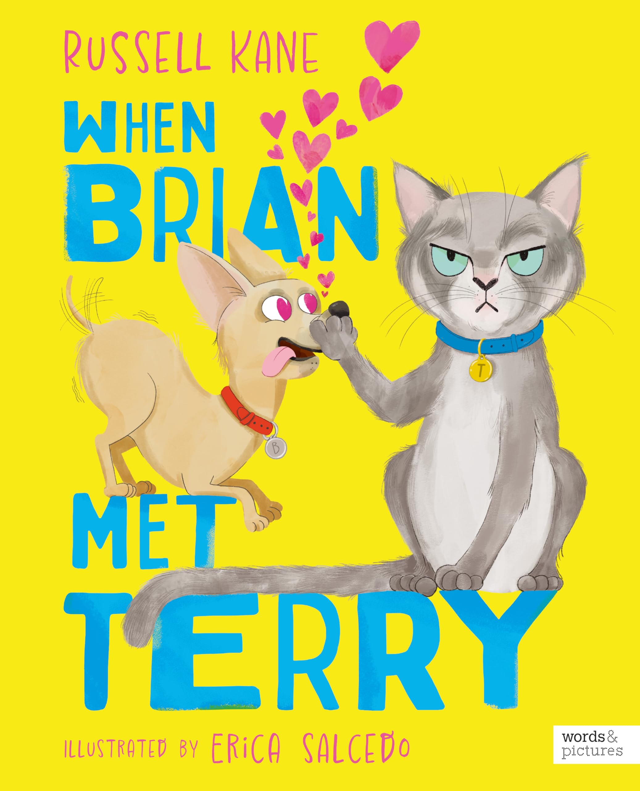 words & pictures When Brian Met Terry Picture Book | Ages 3-6 | Paperback 1