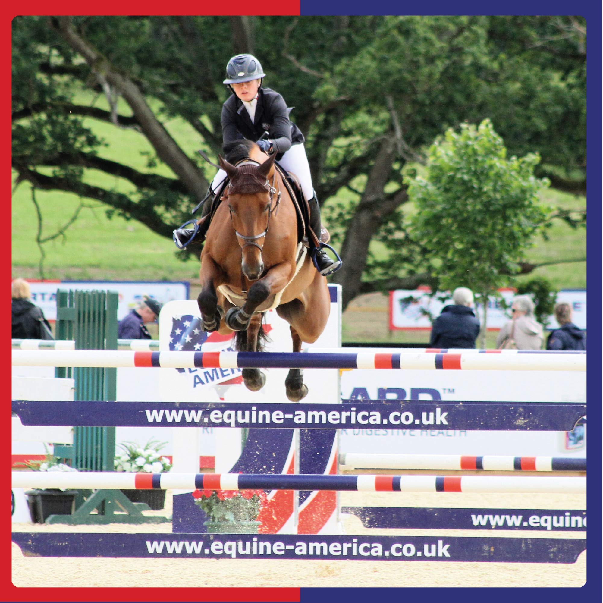 Equine America Green Ice Cooling Gel - Relief for Tired Legs & Joints | 1.5L 4