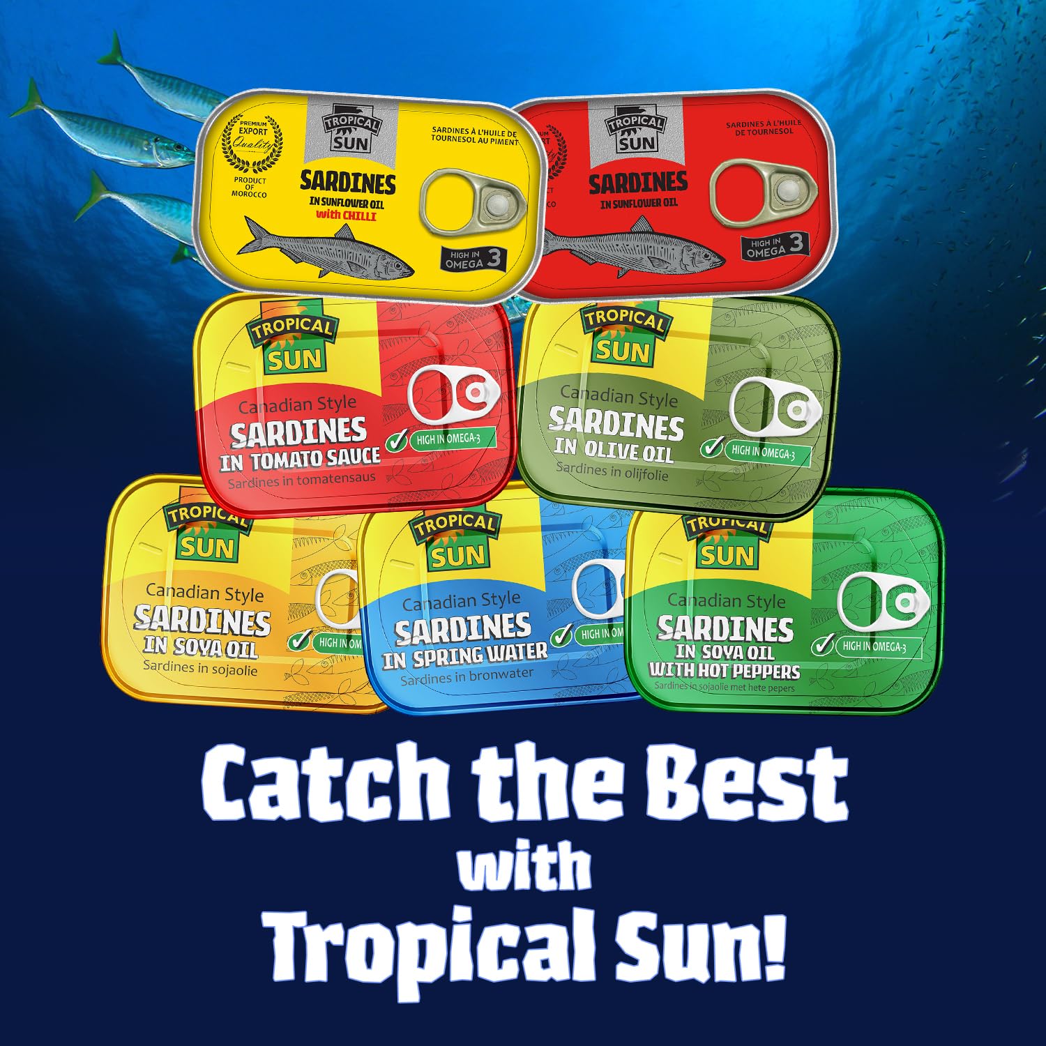 Tropical Sun Canadian Style Sardines in Olive Oil - 12 Pack of 106g Tins | High Protein 5