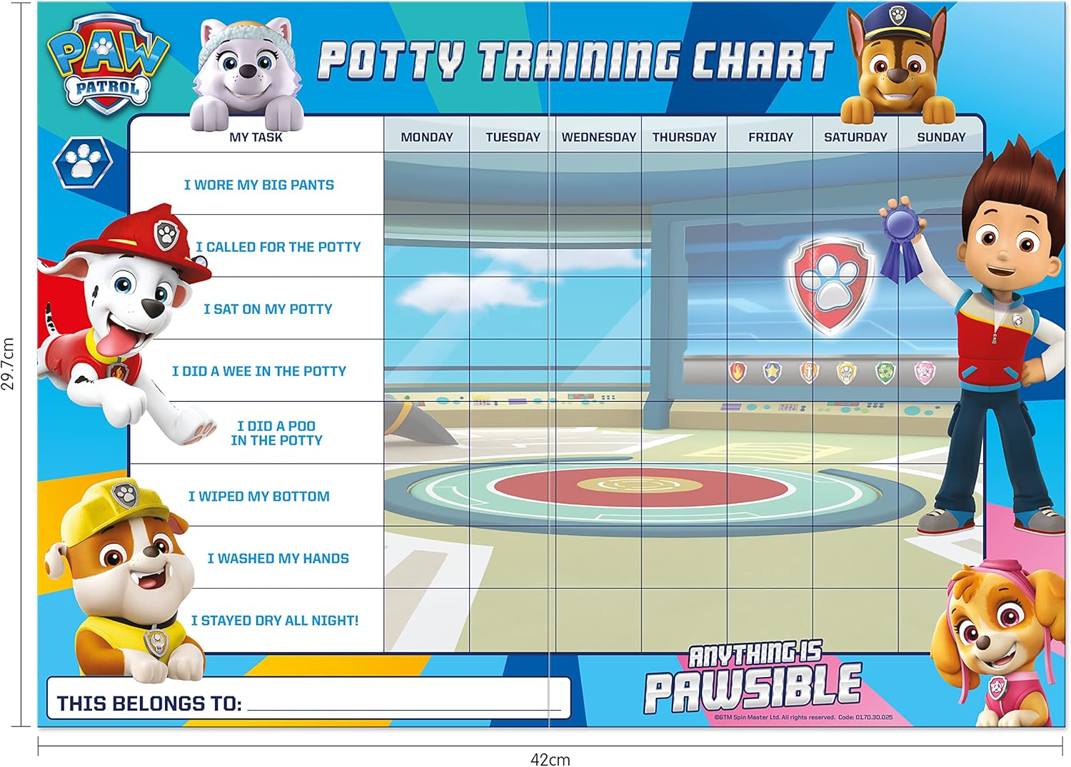 Paw Patrol Potty Training Reward Chart with Reusable Foil Stickers - 36 Months to 6 Years 2
