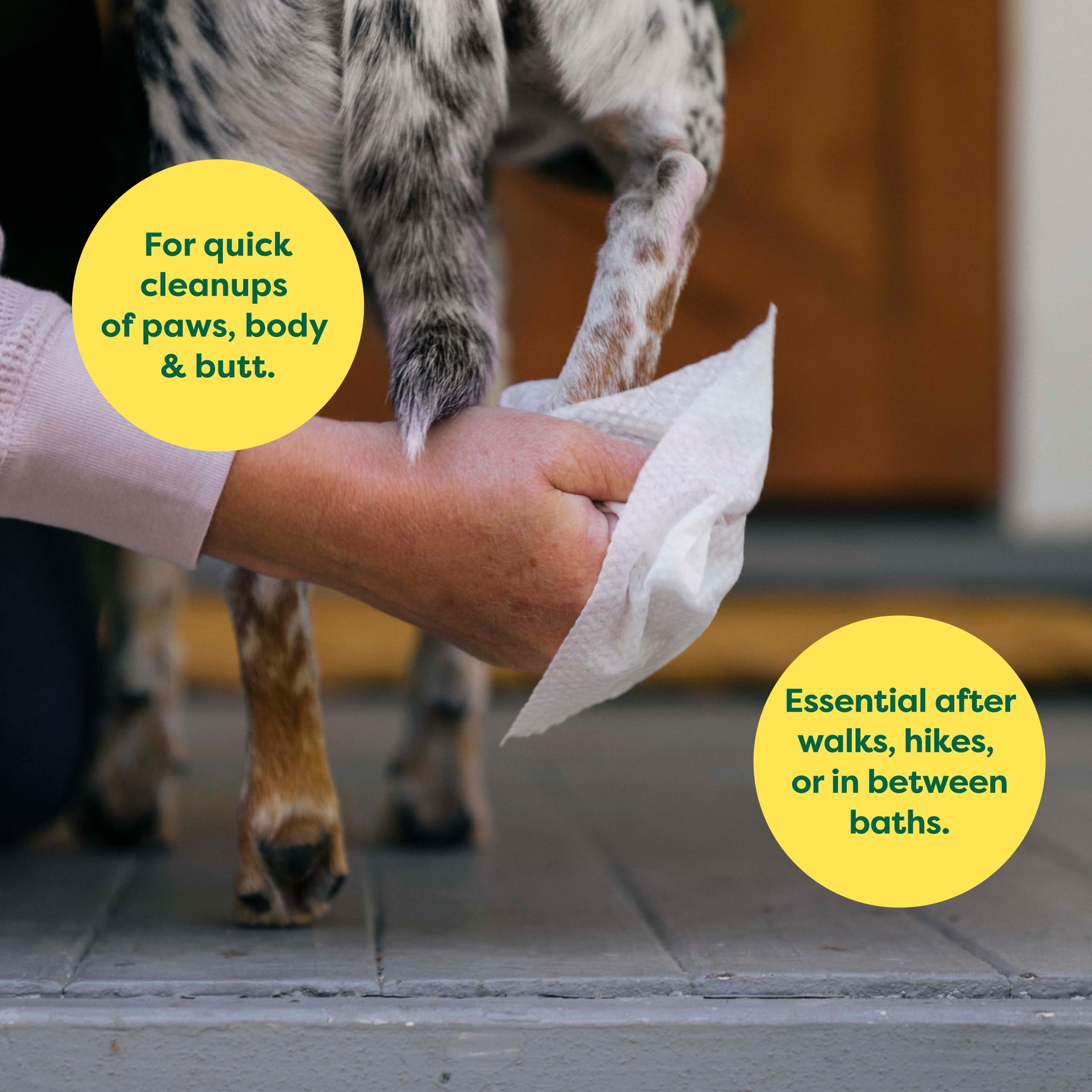 Earth Rated Dog Wipes - Hypoallergenic & Lavender Scented | 100 Count | 98% Biobased