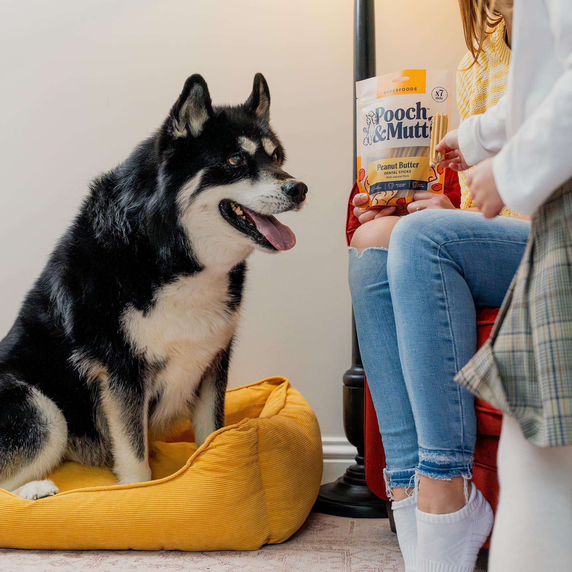 Pooch & Mutt Peanut Butter Dental Sticks - Plaque & Tartar Control for Small Dogs | 7 Sticks 3