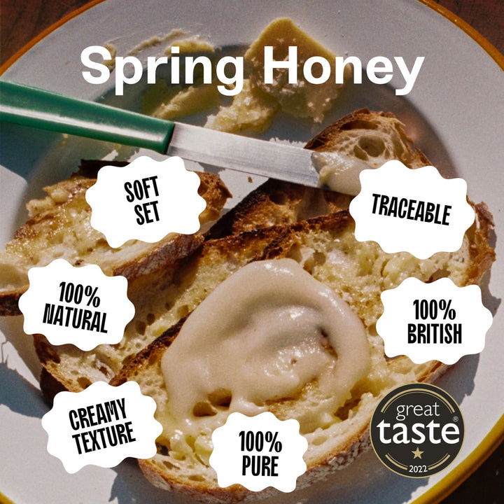 Black Bee Honey - Pure British Spring Soft Set Honey, Creamy and Lightly Sweet