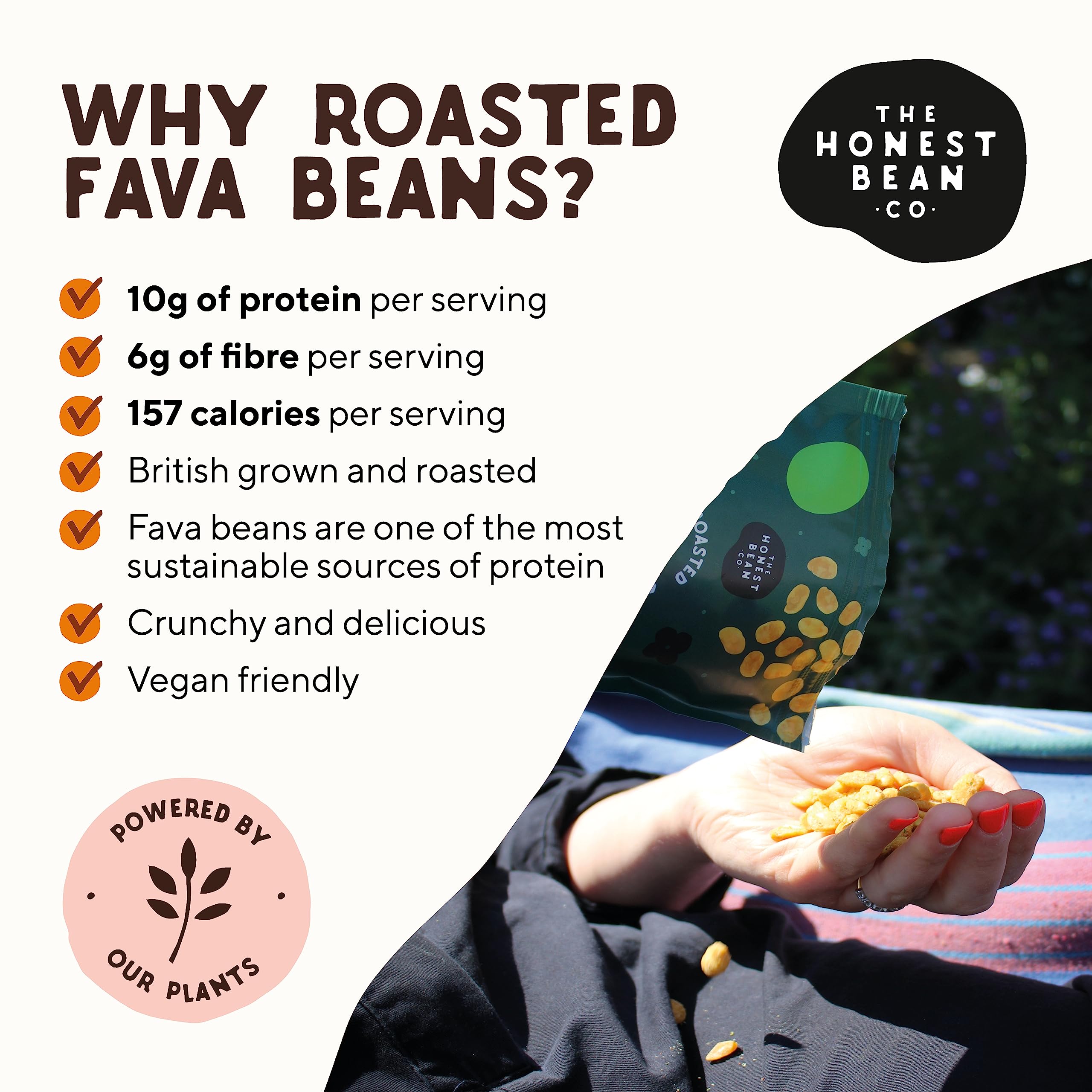 The Honest Bean Co Roasted Fava Bean Variety Pack - 6 Flavors, High Protein, Vegan Friendly, 720g 4