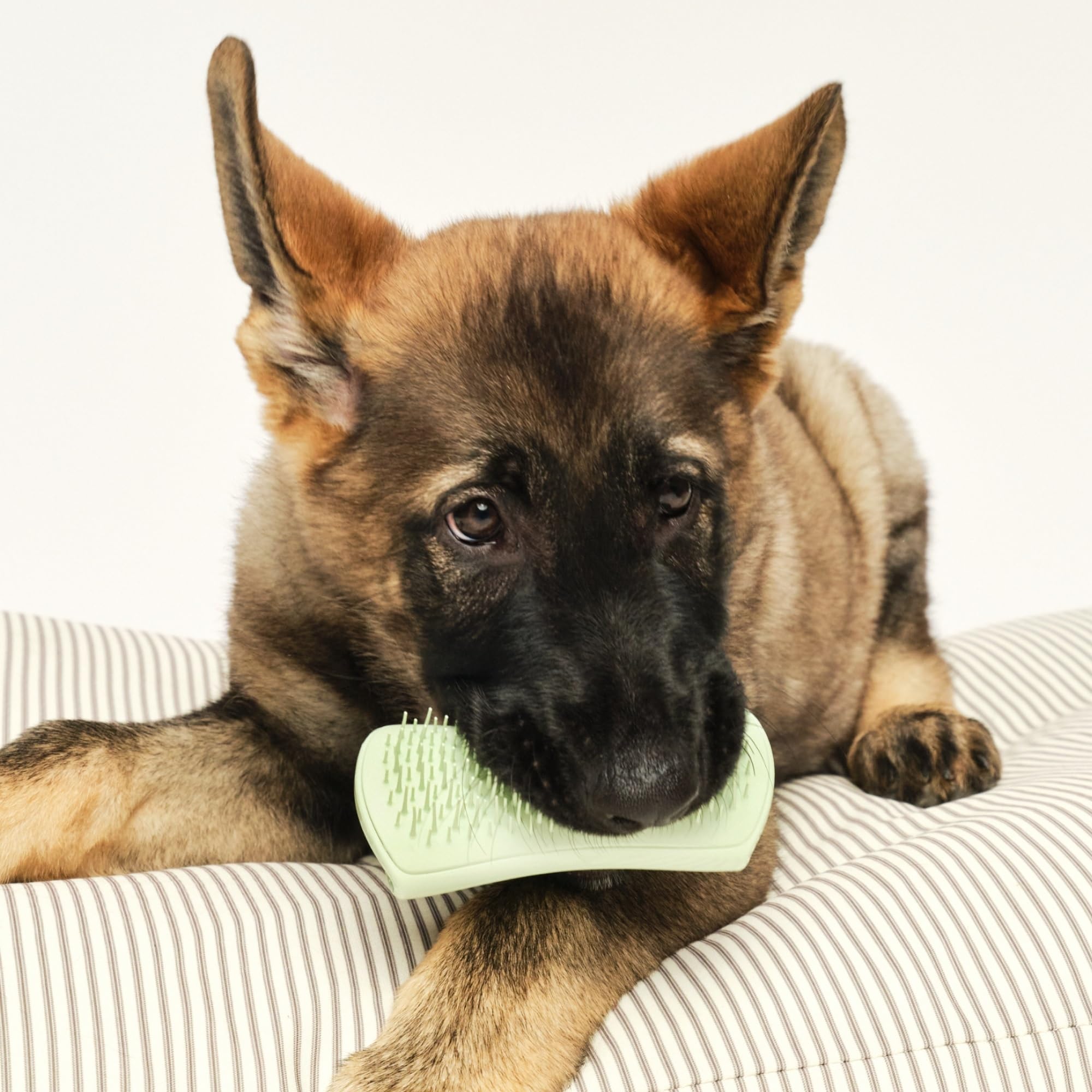 Pet Teezer Puppy Grooming Brush - Detangling | Gentle on Sensitive Skin | Mint 7