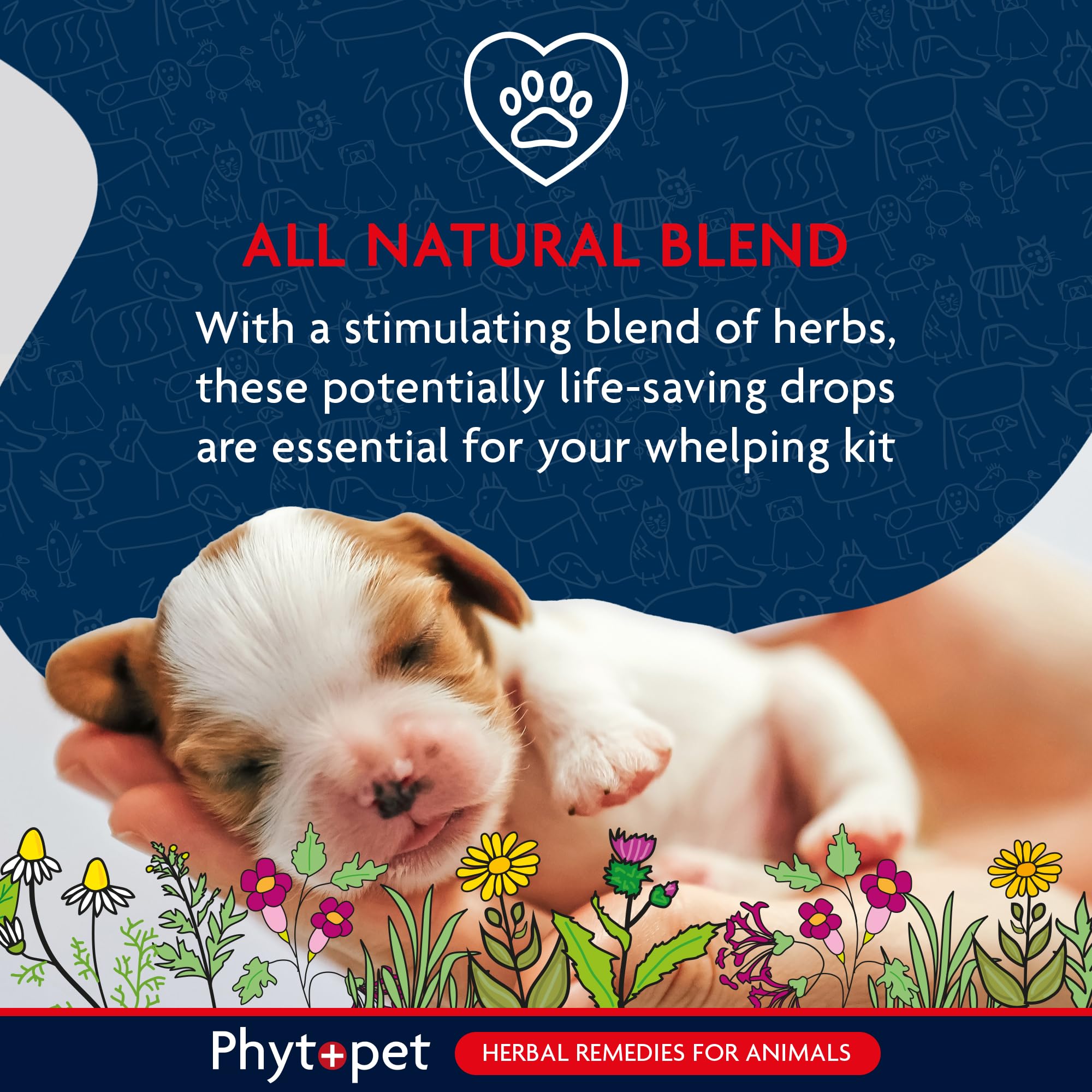 Phytopet Life Drops - Natural Herbal Stimulant for Newborn & Elderly Pets | 10 ml 3