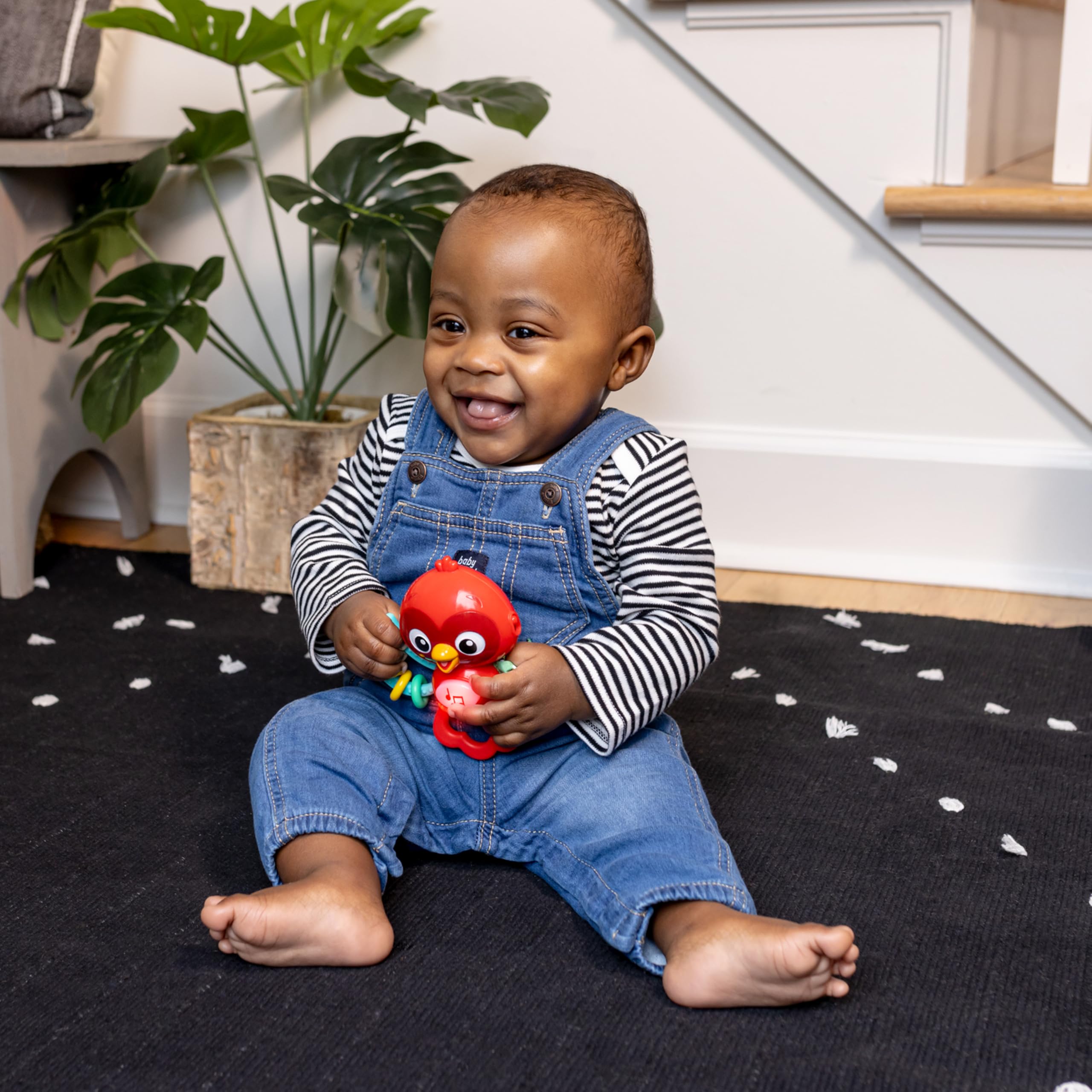 Baby Einstein Roxy’s Bright Flight Musical Toy - Multisensory Play | Ages 3 Months+ 3