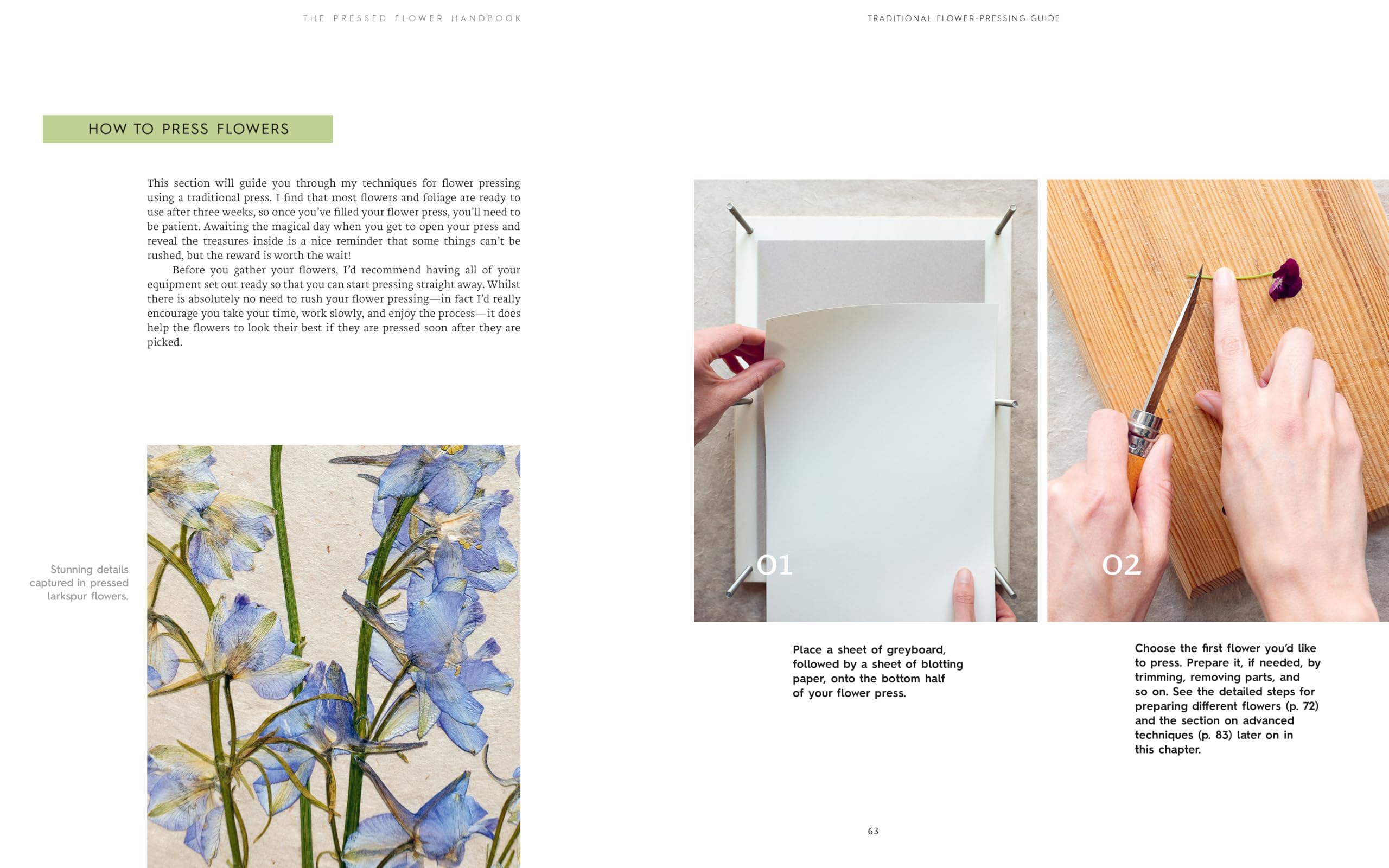 Quarry Books The Pressed Flower Handbook - Connecting with Nature Through Floral Crafts 6