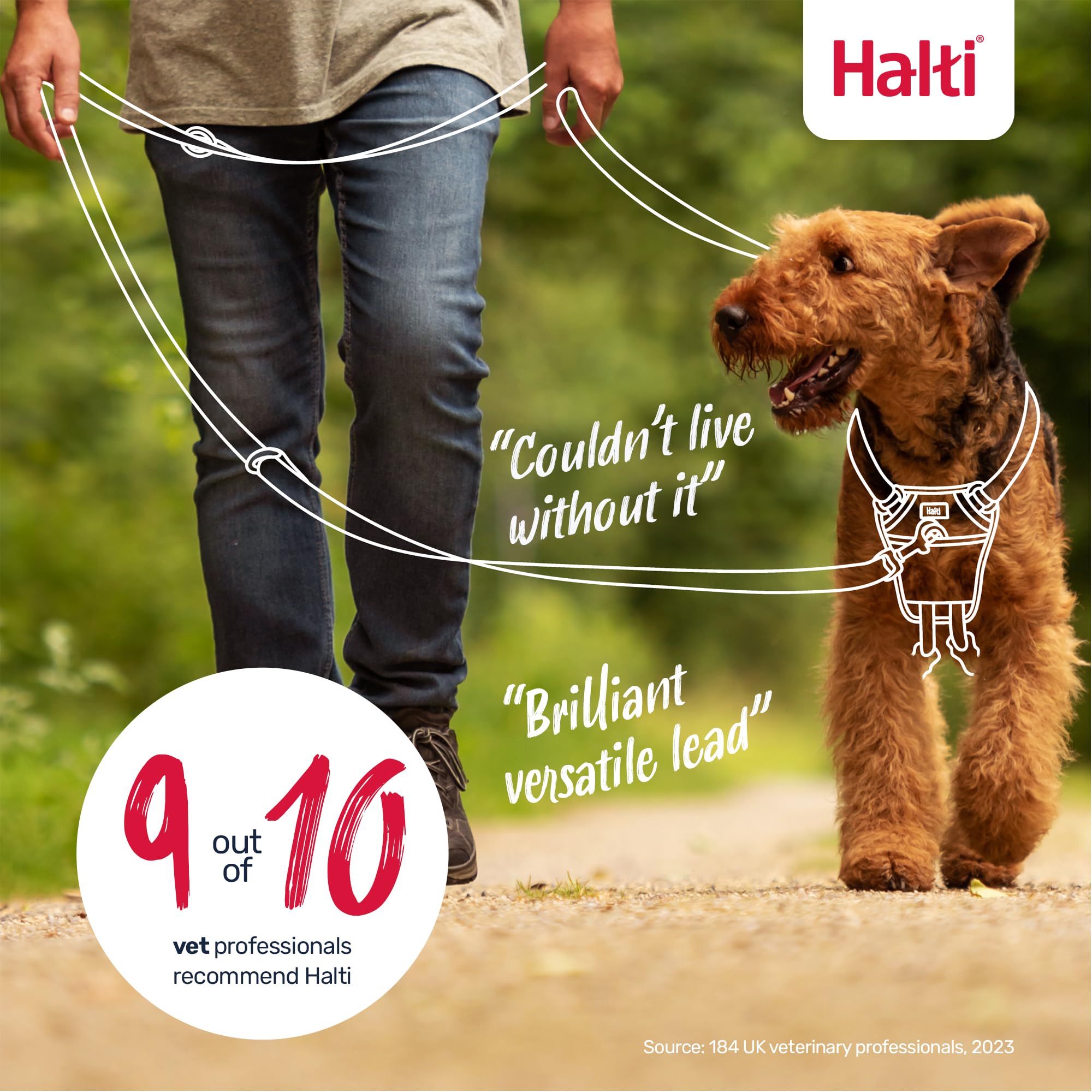 Halti Training Lead - Versatile Multi-Use Dog Lead | Pink, Large, 2m 6