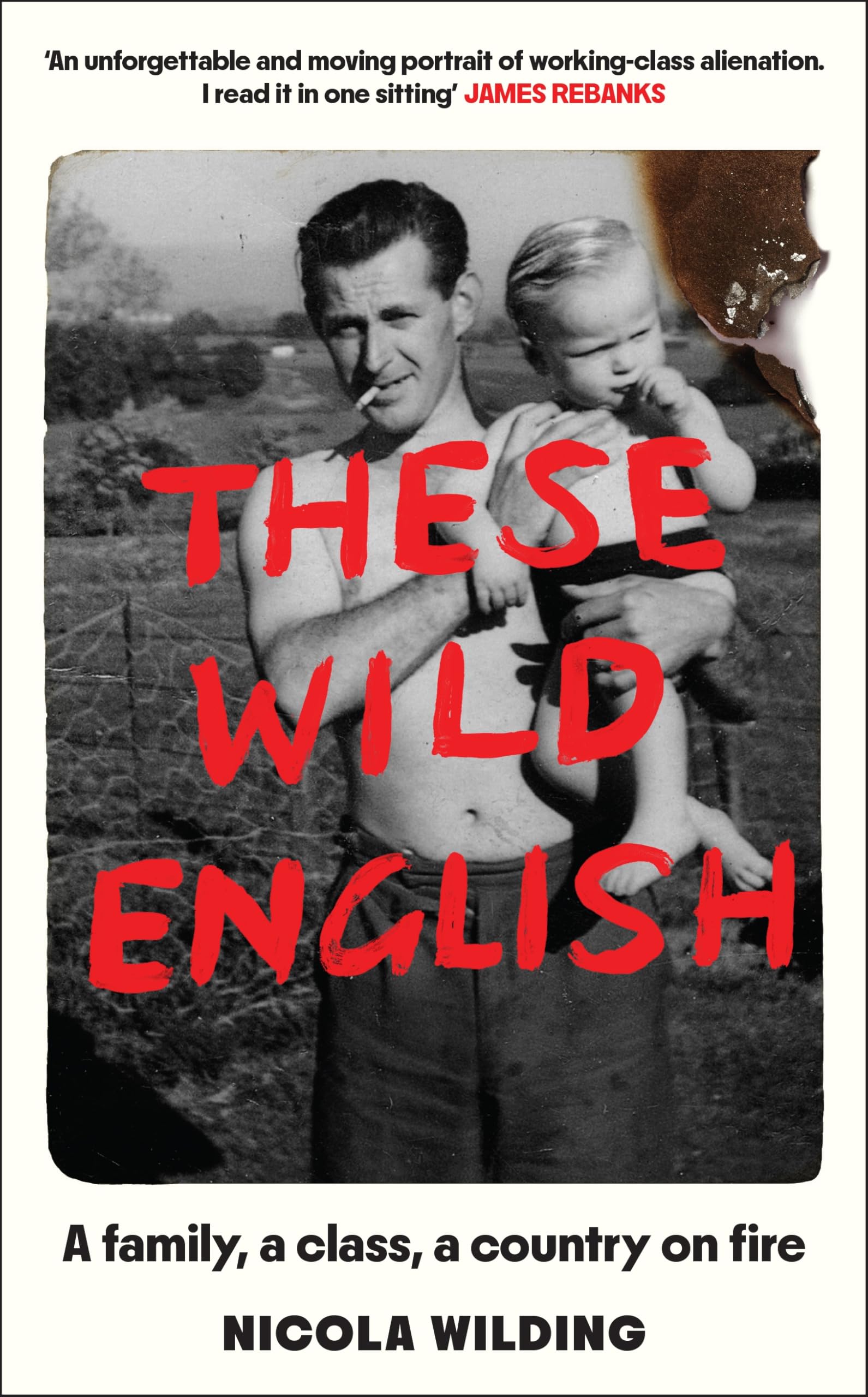 These Wild English: A family, a class, a country on fire by Nicola Wilding