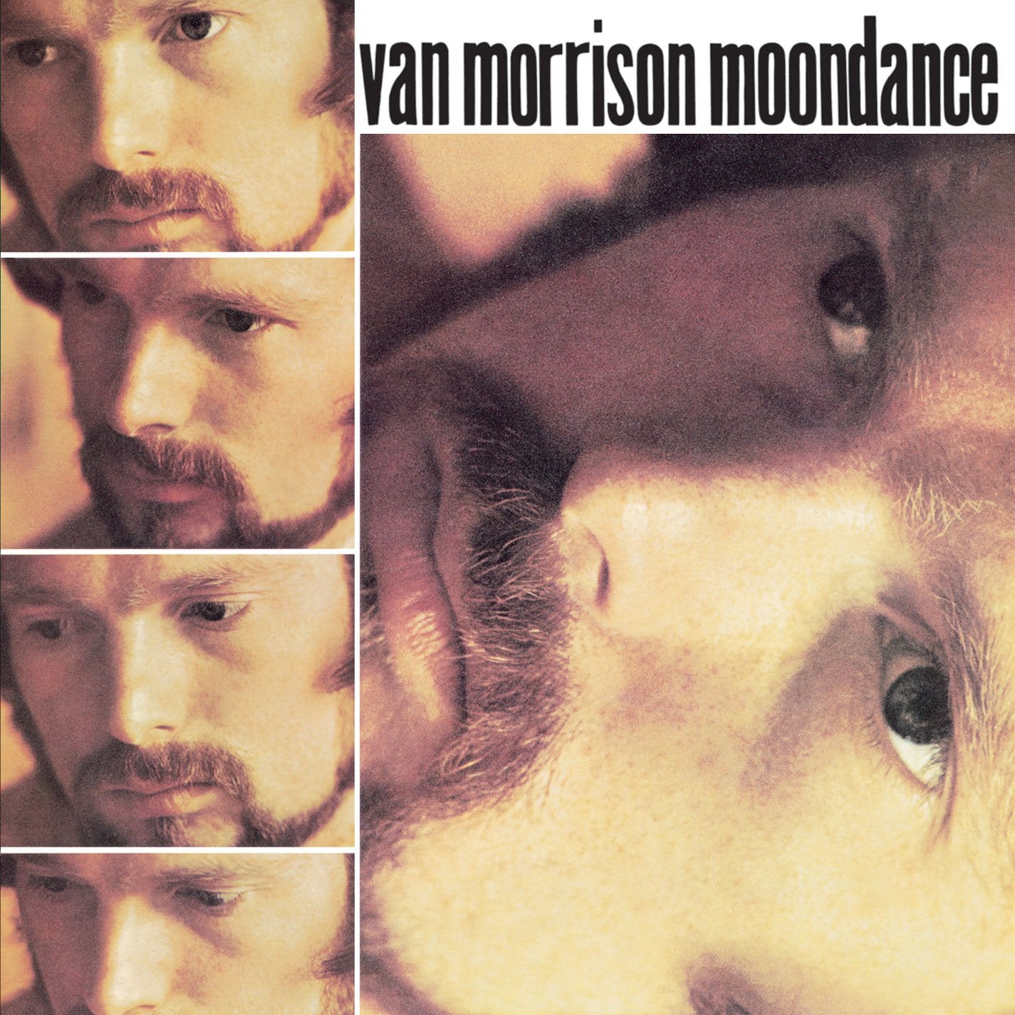 Van Morrison - Moondance [CD]