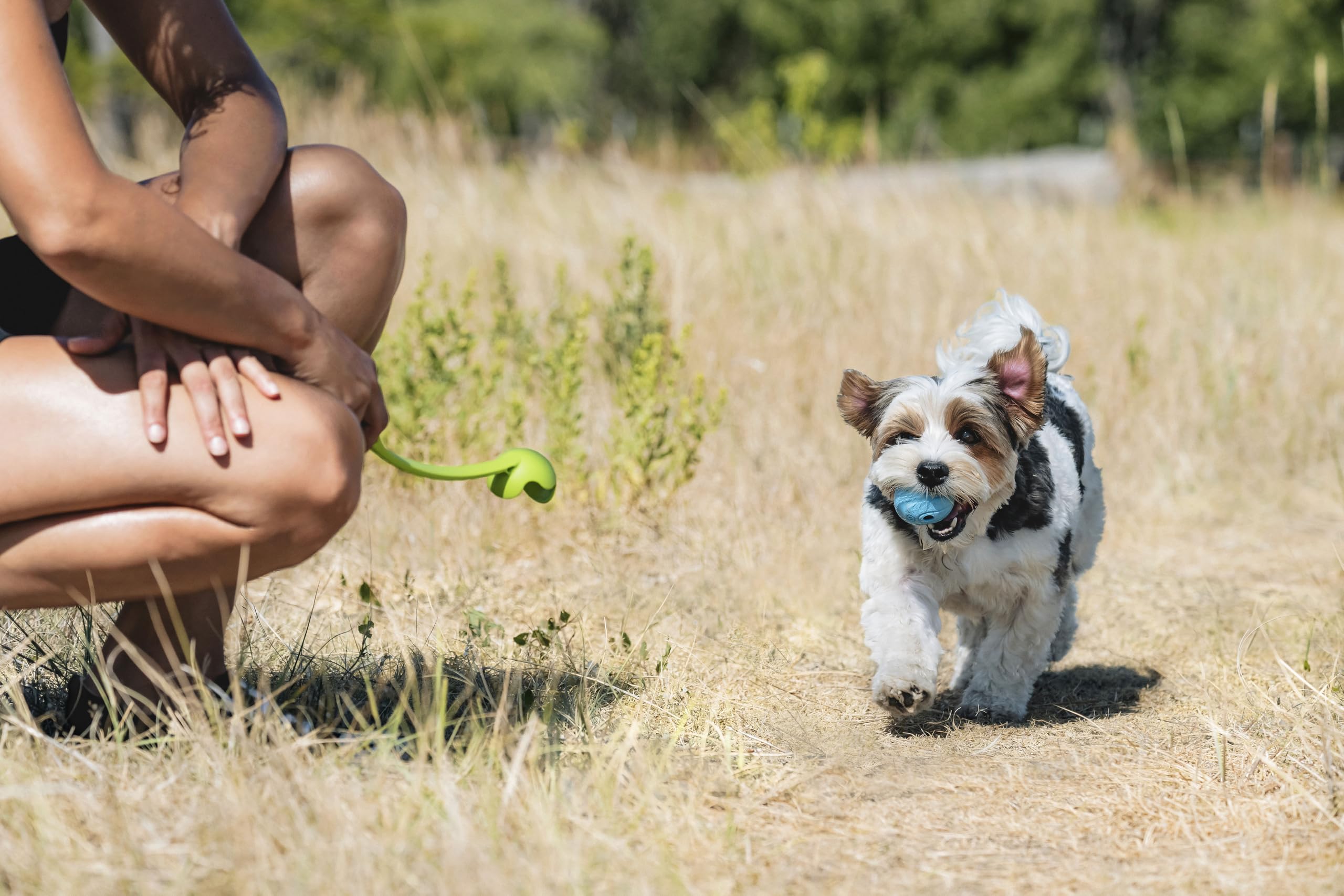 Chuckit! The Whistler Ball - Durable Rubber Dog Toy with Whistle | Small Size (Pack of 2) 8