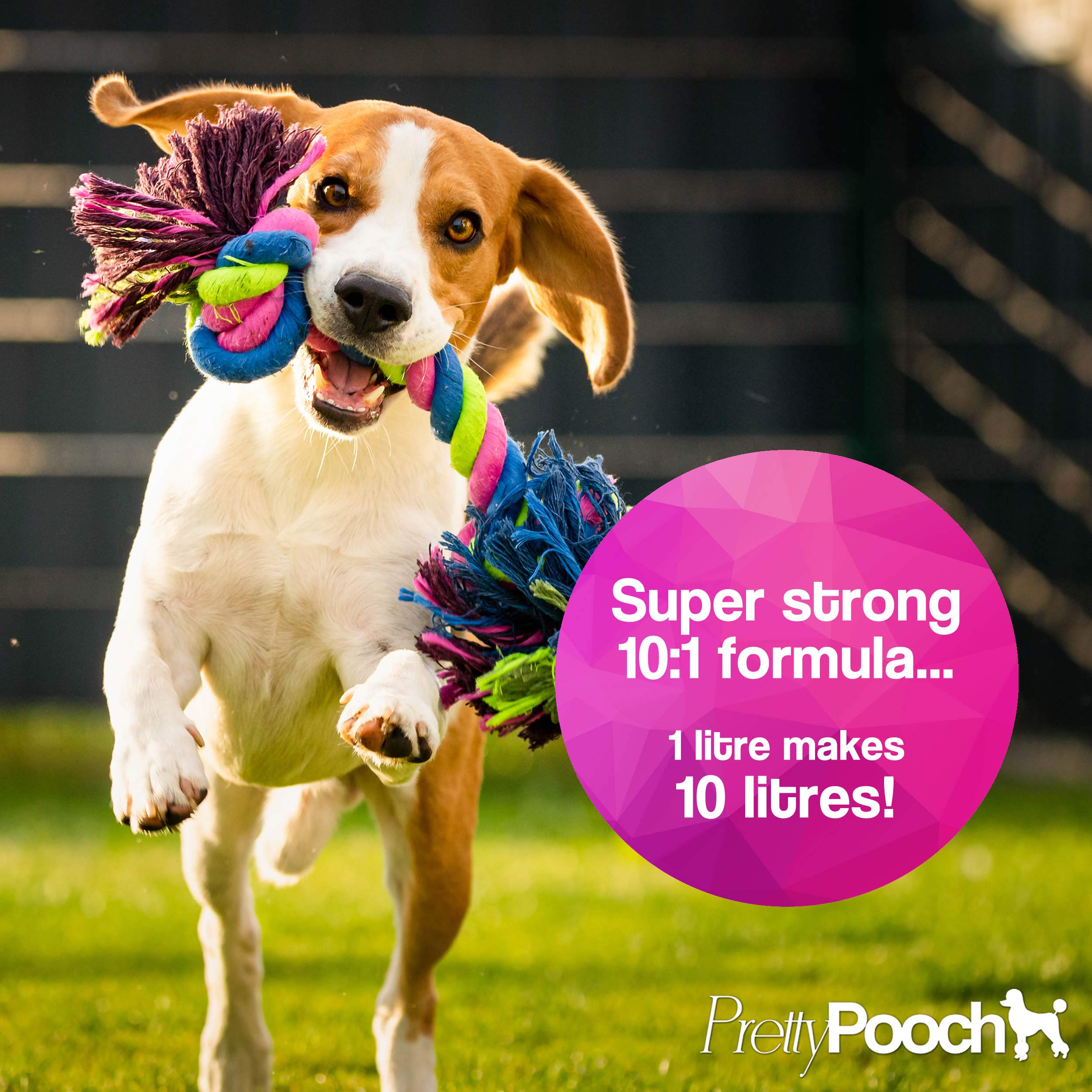 Pretty Pooch Artificial Grass Cleaner - Super Concentrate Formula | 1L | Fresh Cut Grass Scent 2