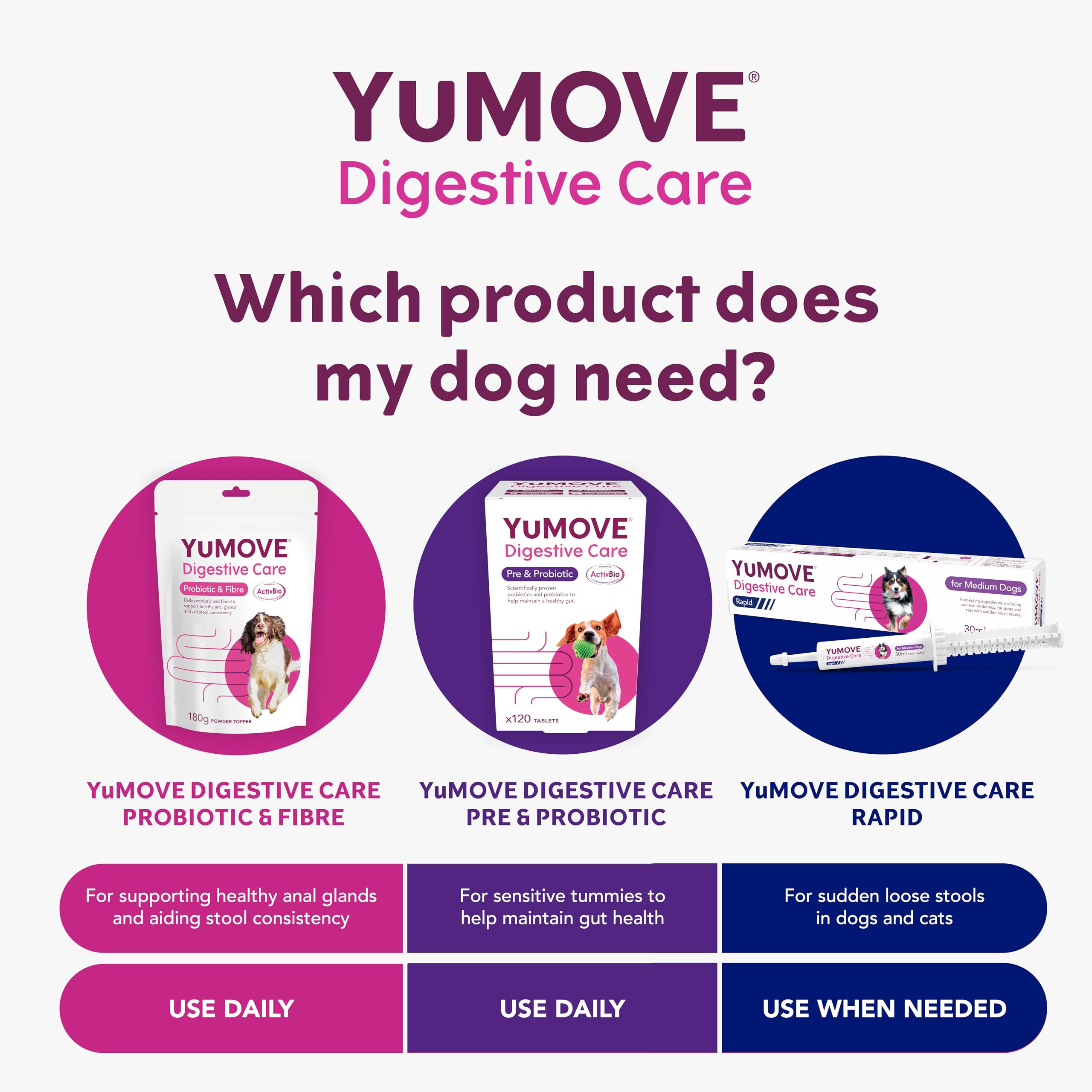 YuMOVE Digestive Care & Fibre Dog Supplement for Gut Health | 180g Powder 6