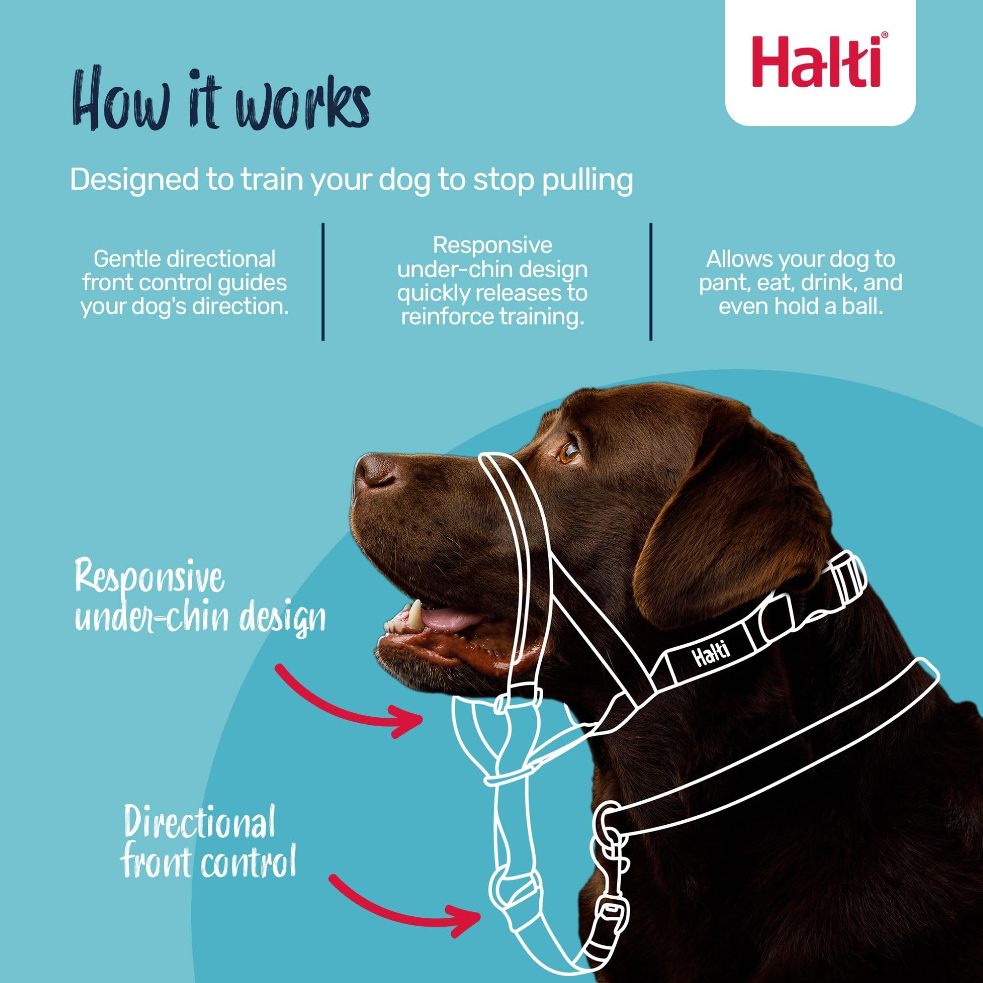 Halti Headcollar - Stops Pulling for Dogs | Size 3, Burnt Orange, Reflective