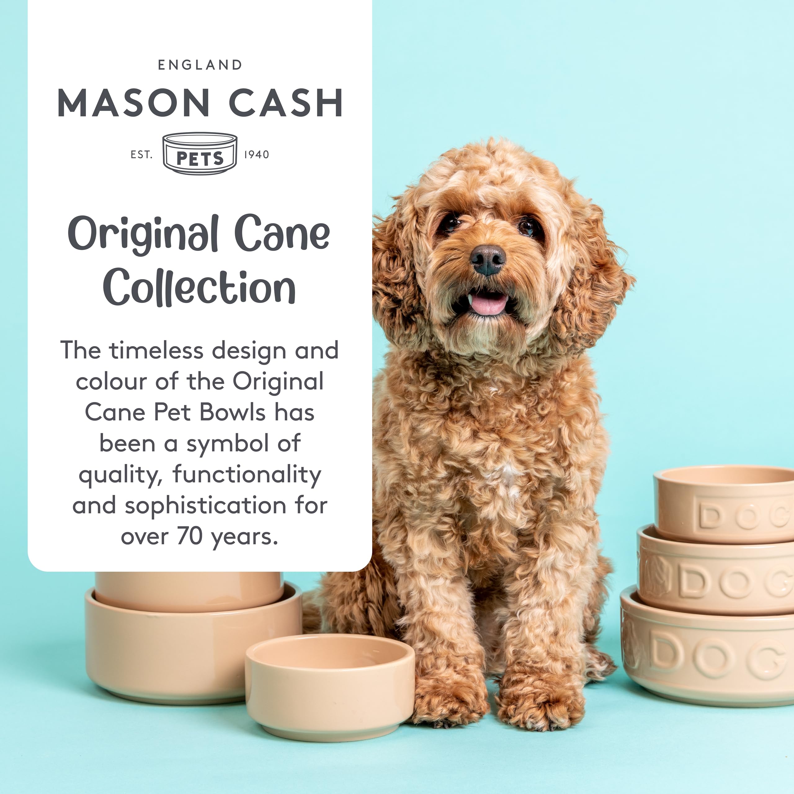 Mason Cash Cane Collection 13 cm Stoneware Cat Bowl - Durable & Stable | 400ml Capacity 3