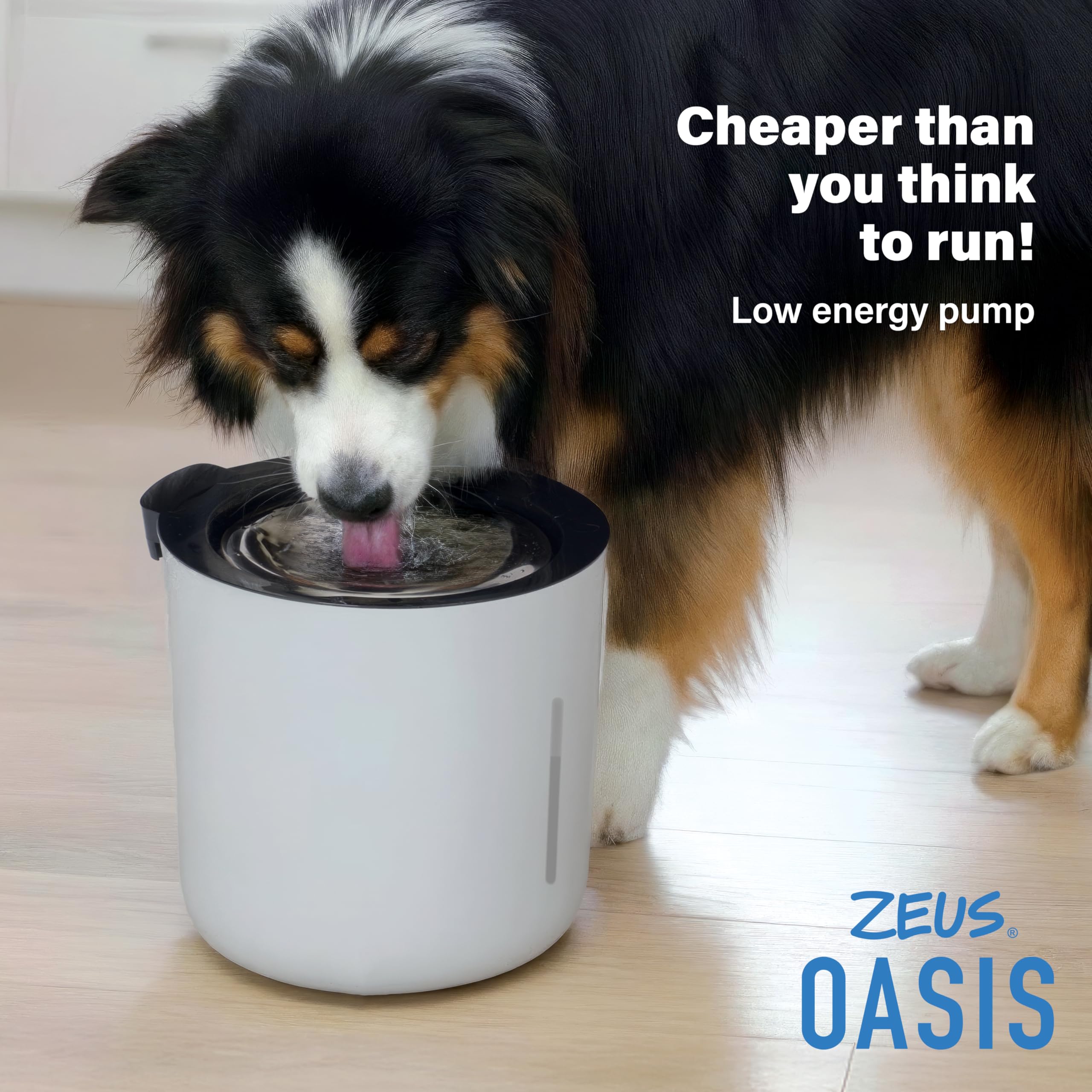 Zeus Oasis Dog Water Fountain - 6L Large Capacity | Stainless Steel Top | Triple Action Filter 8