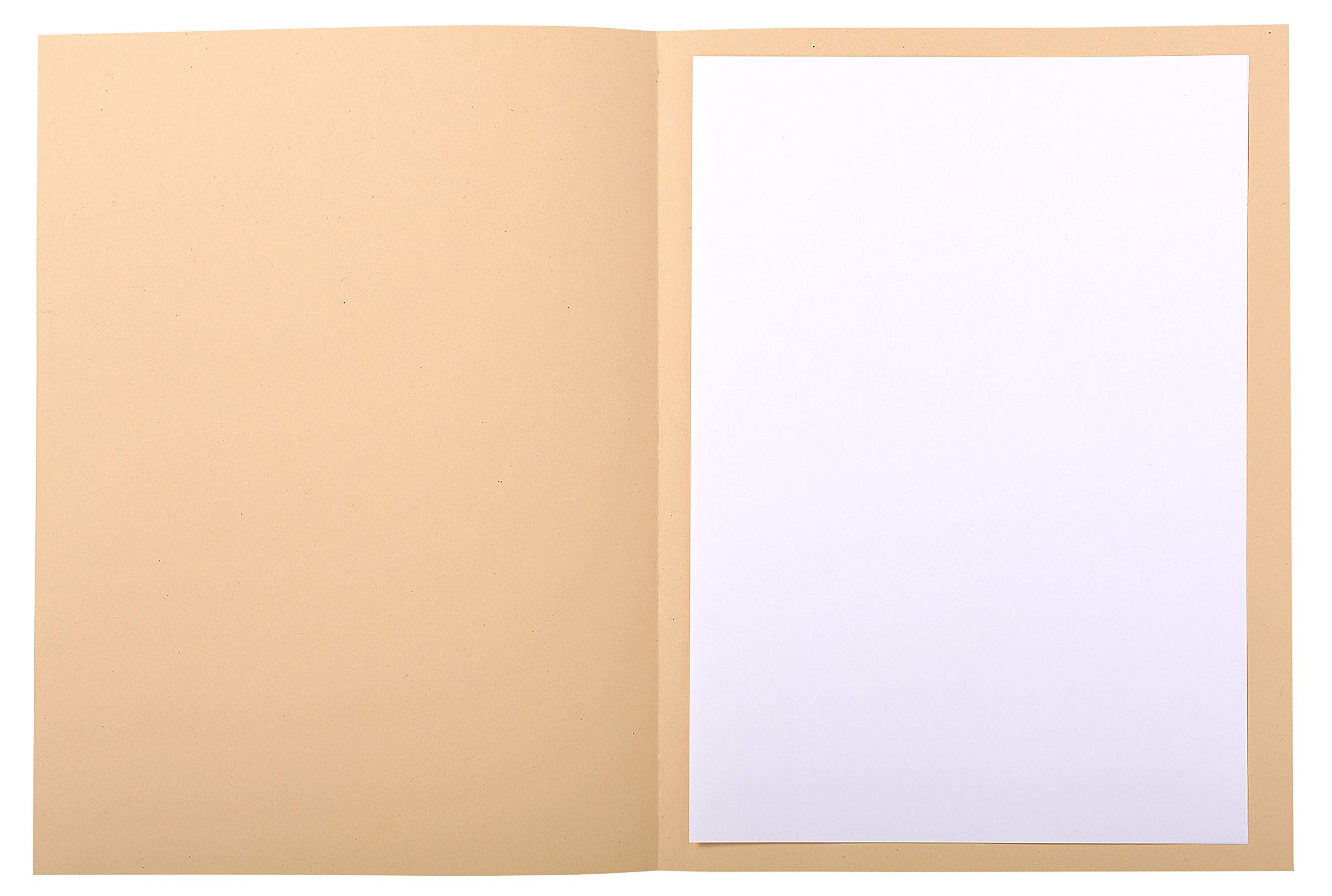 Exacompta Forever Printed Square Cut Folder - 50 Pack | A4 | 220 gsm Card | Assorted Colours