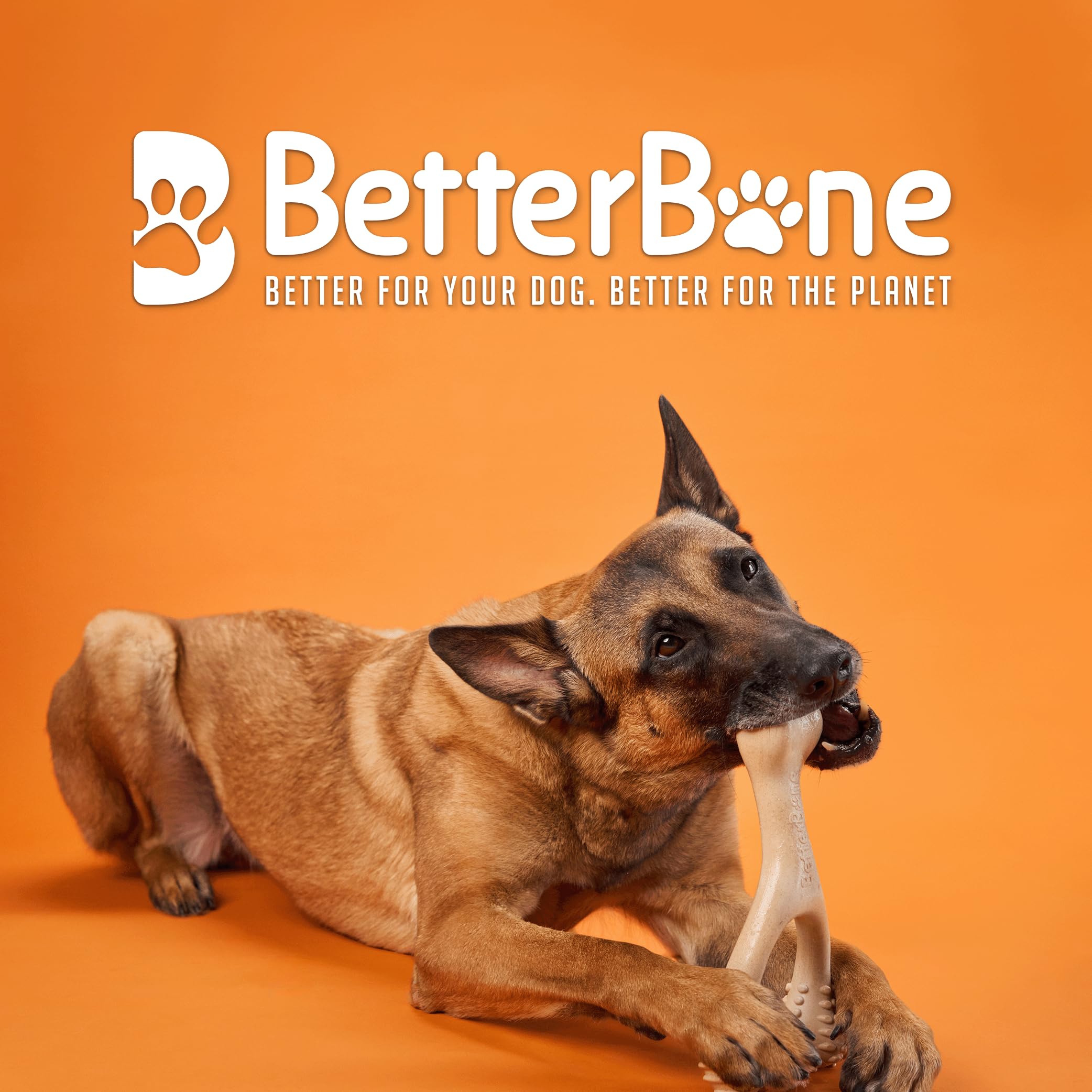 BetterBone Hard Dental Chew Toy - Enhanced Durability | Non-Toxic | Small Size for Dogs