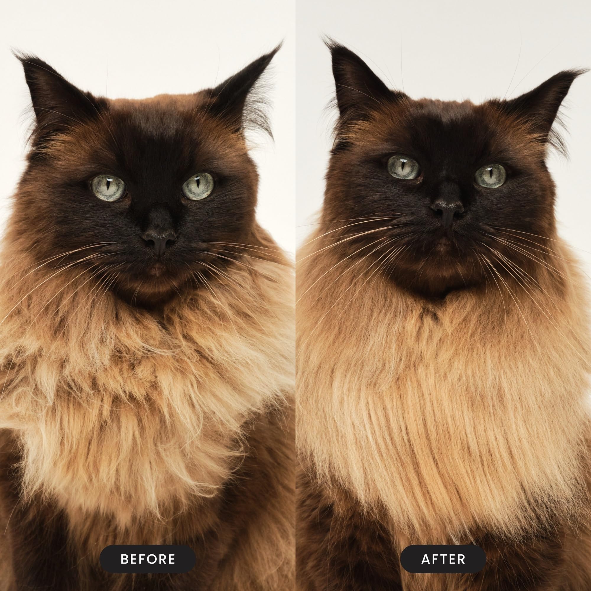 Tangle Teezer Pet Teezer Cat Brush - For Short to Medium Fur | Green Plastic 5