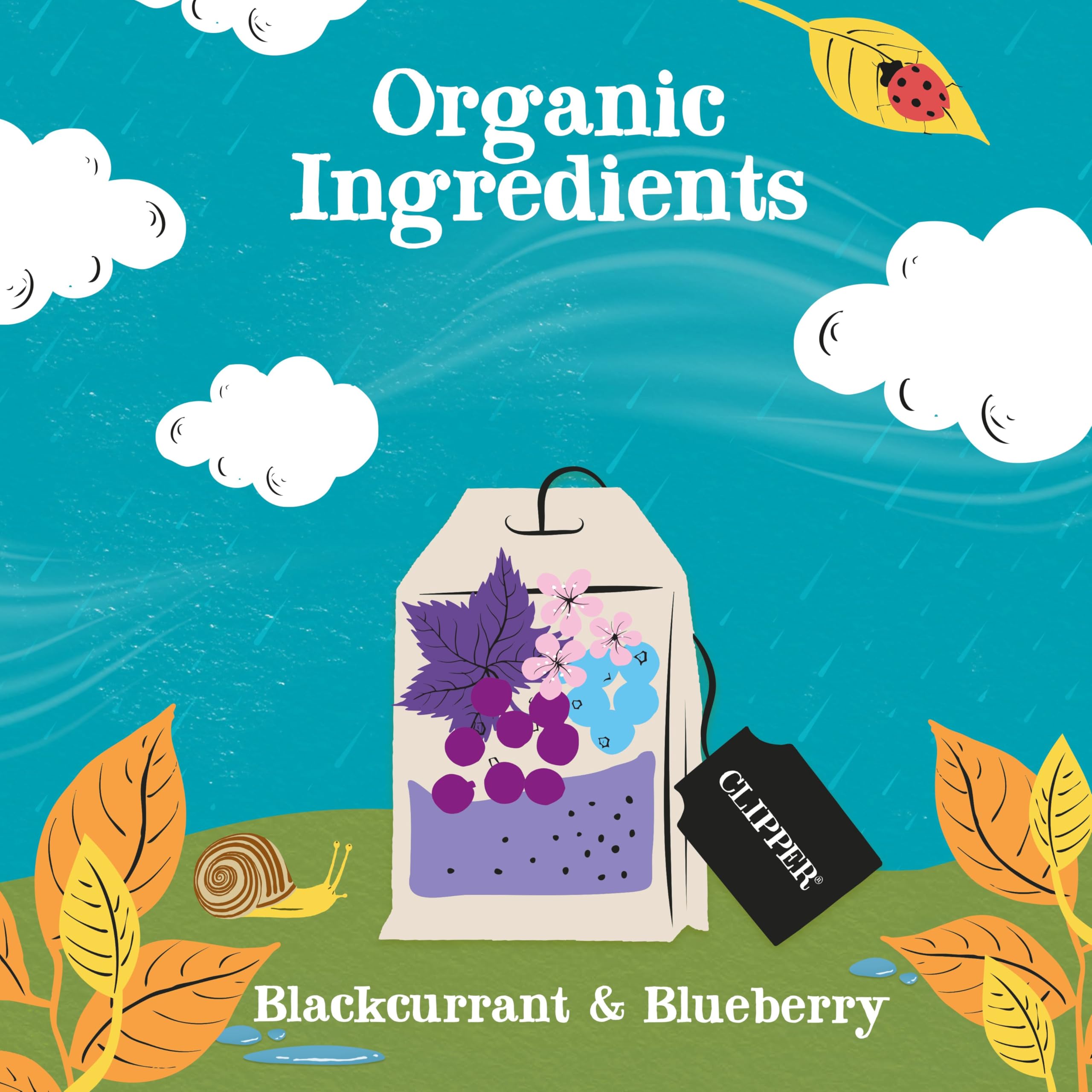 Clipper Organic Blackcurrant & Blueberry Infusion Fruit Teabags - 80 Unbleached Tea Bags 10