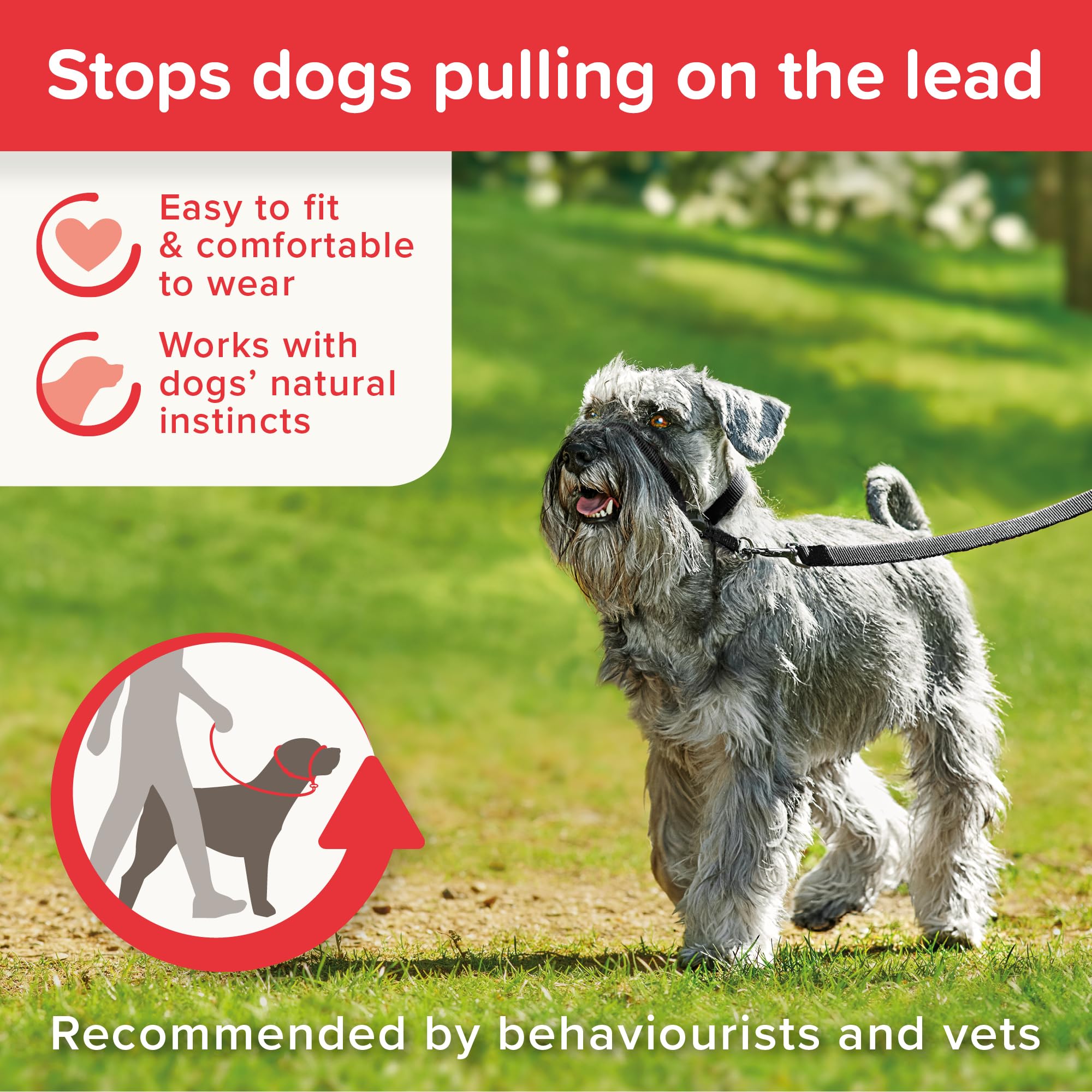 Beaphar Gentle Leader Headcollar - Stops Pulling for Small Dogs | Black Nylon 5