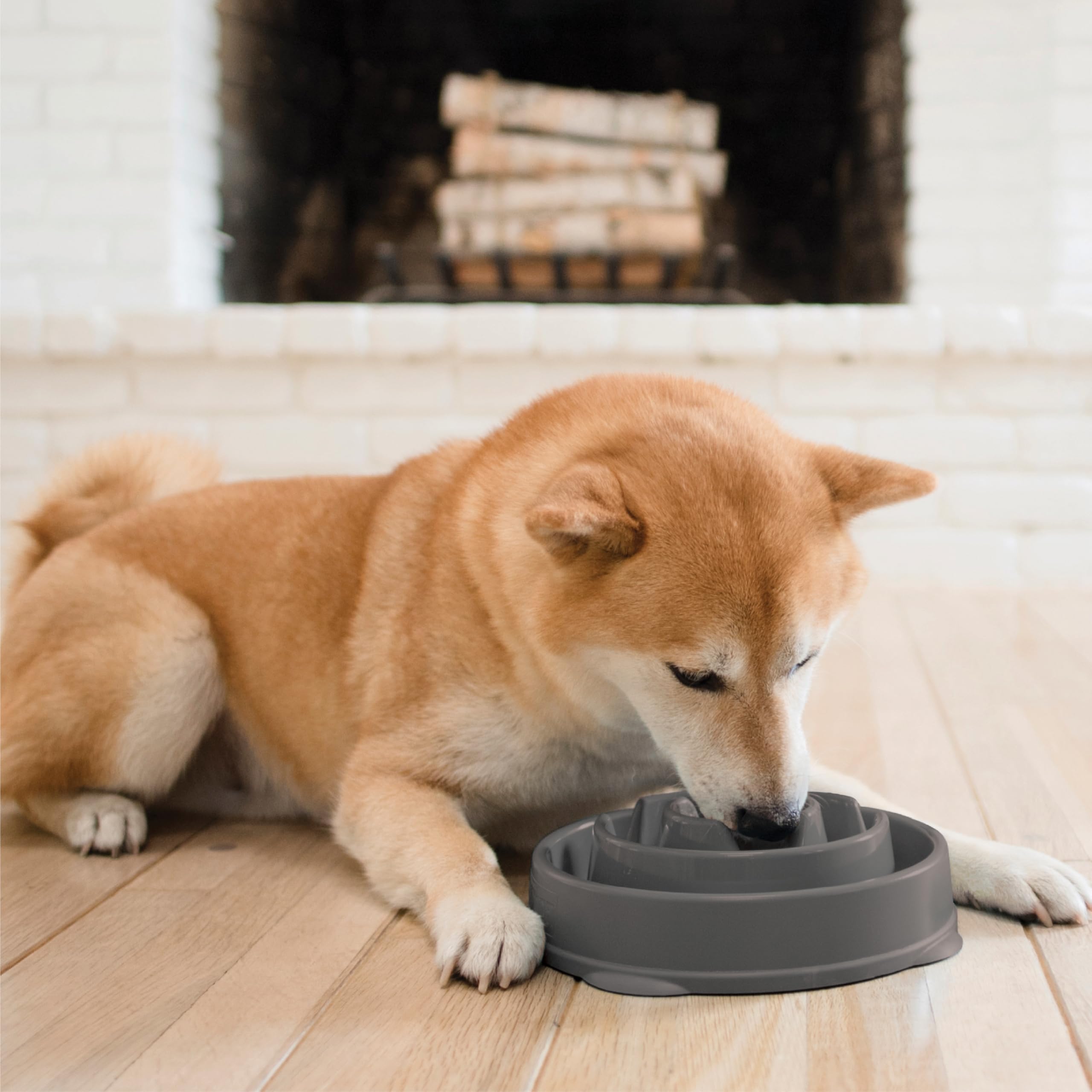 Outward Hound Slow Feeder Dog Bowl - Reduces Bloat, Improves Digestion | Medium, Grey 6