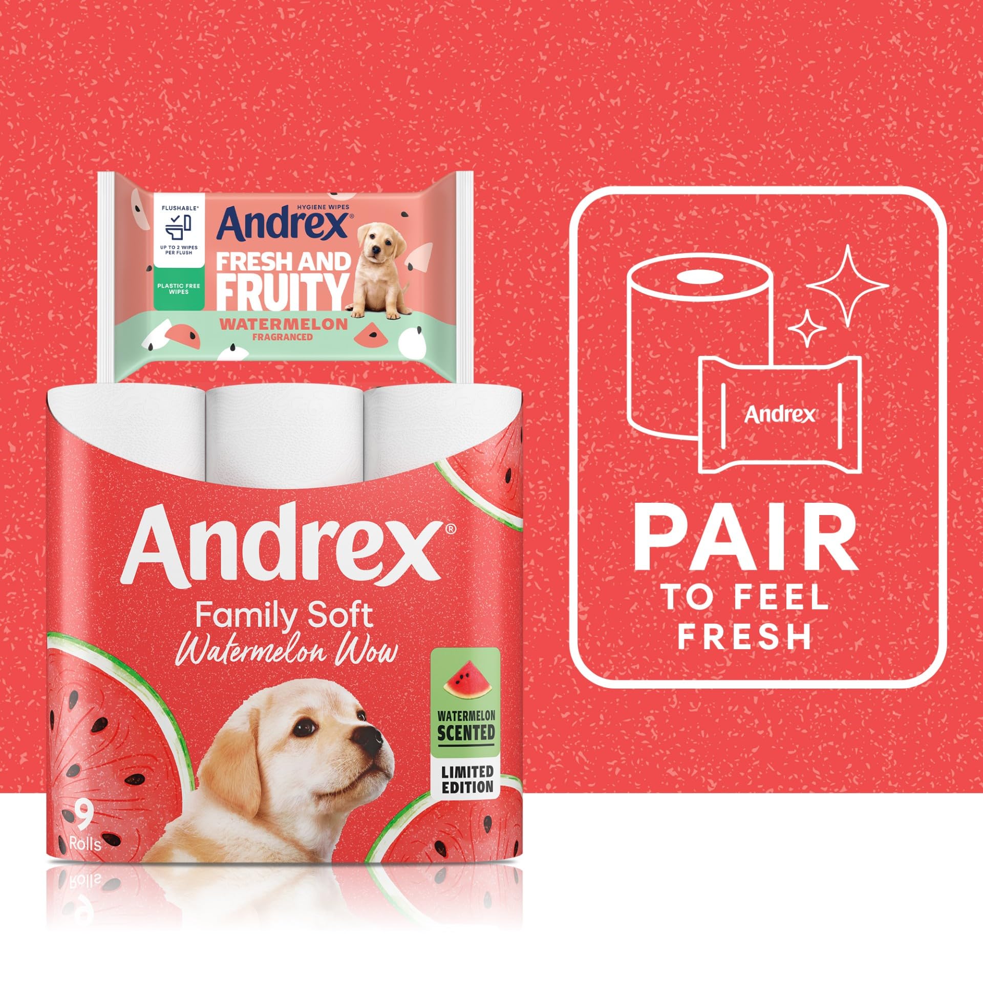 Andrex Fresh and Fruity Hygiene Wipes - Watermelon Scent, Flushable, 12 Packs 2