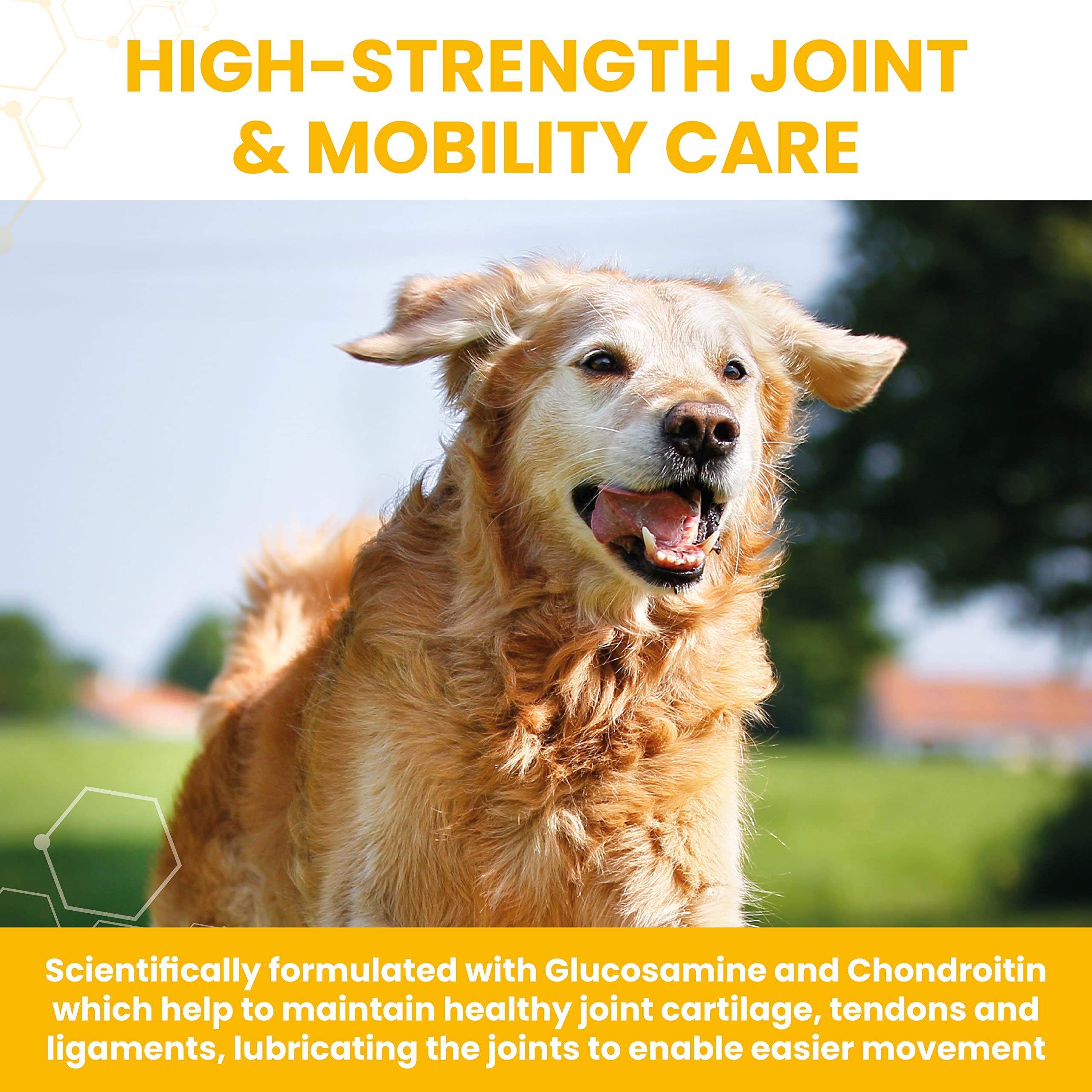 Vetzyme High Strength Flexible Joint Supplements for Senior Dogs - 30 Tablets 3