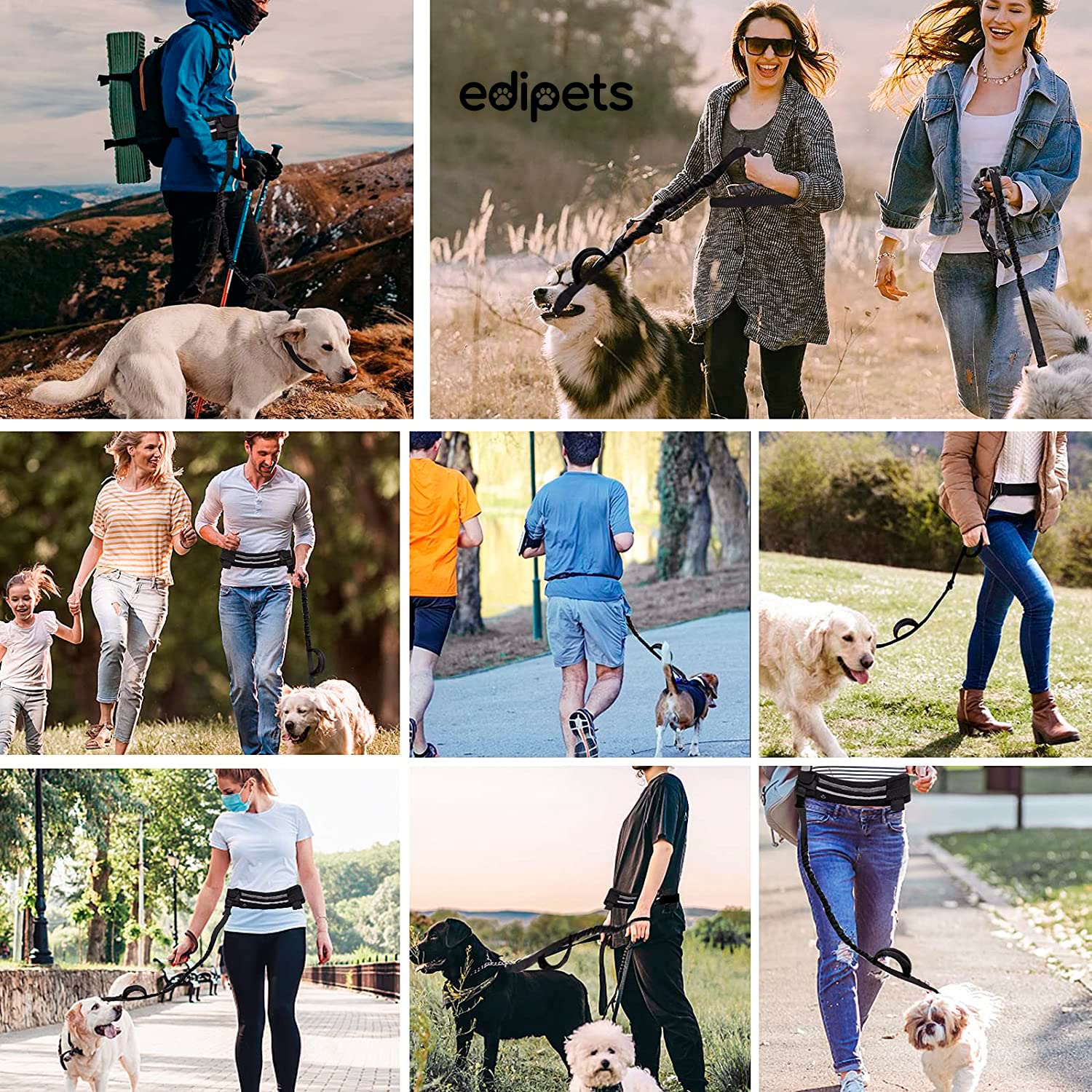 Edipets Hands Free Dog Running Lead - Waist Belt, Anti-Strain, Reflective, 1.6 Meters 6