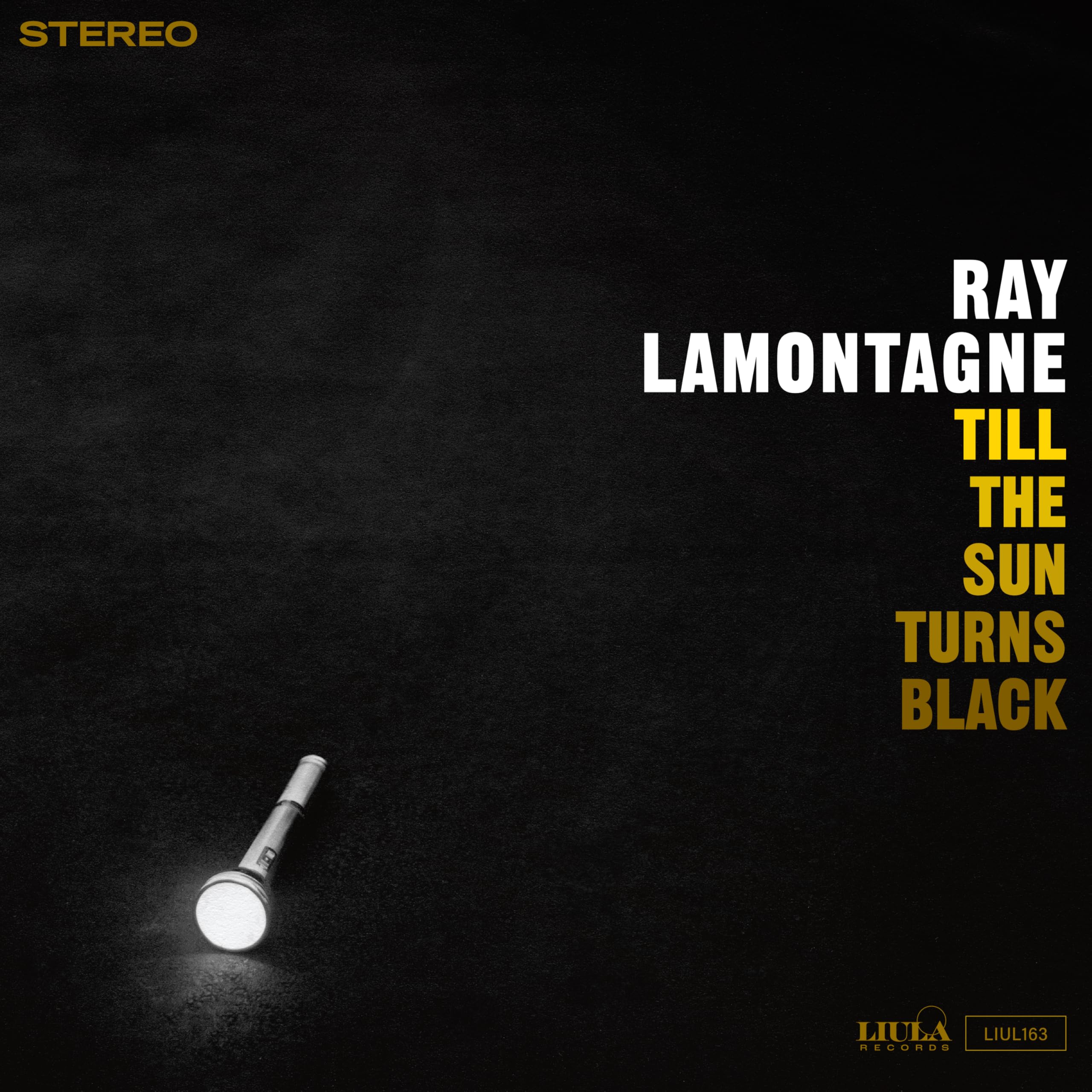 Ray LaMontagne - Till the Sun Turns Black [Vinyl]
