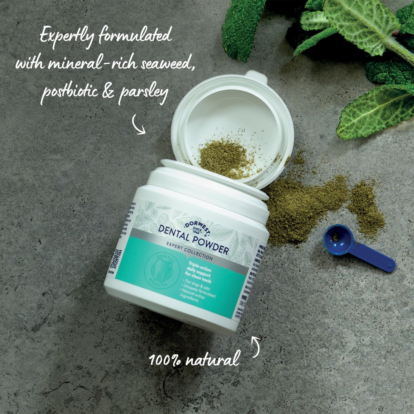DORWEST HERBS Seaweed Dental Powder for Dogs & Cats - 100g Triple-Action Oral Health Support 3
